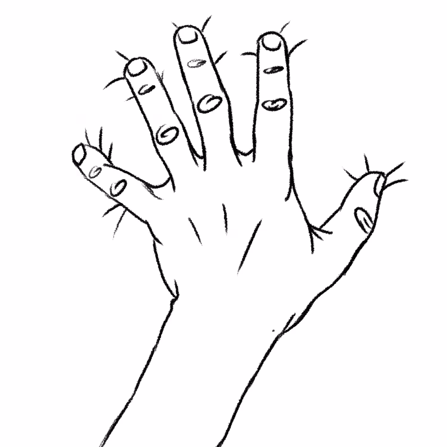 HAND - Sheets & Ocean