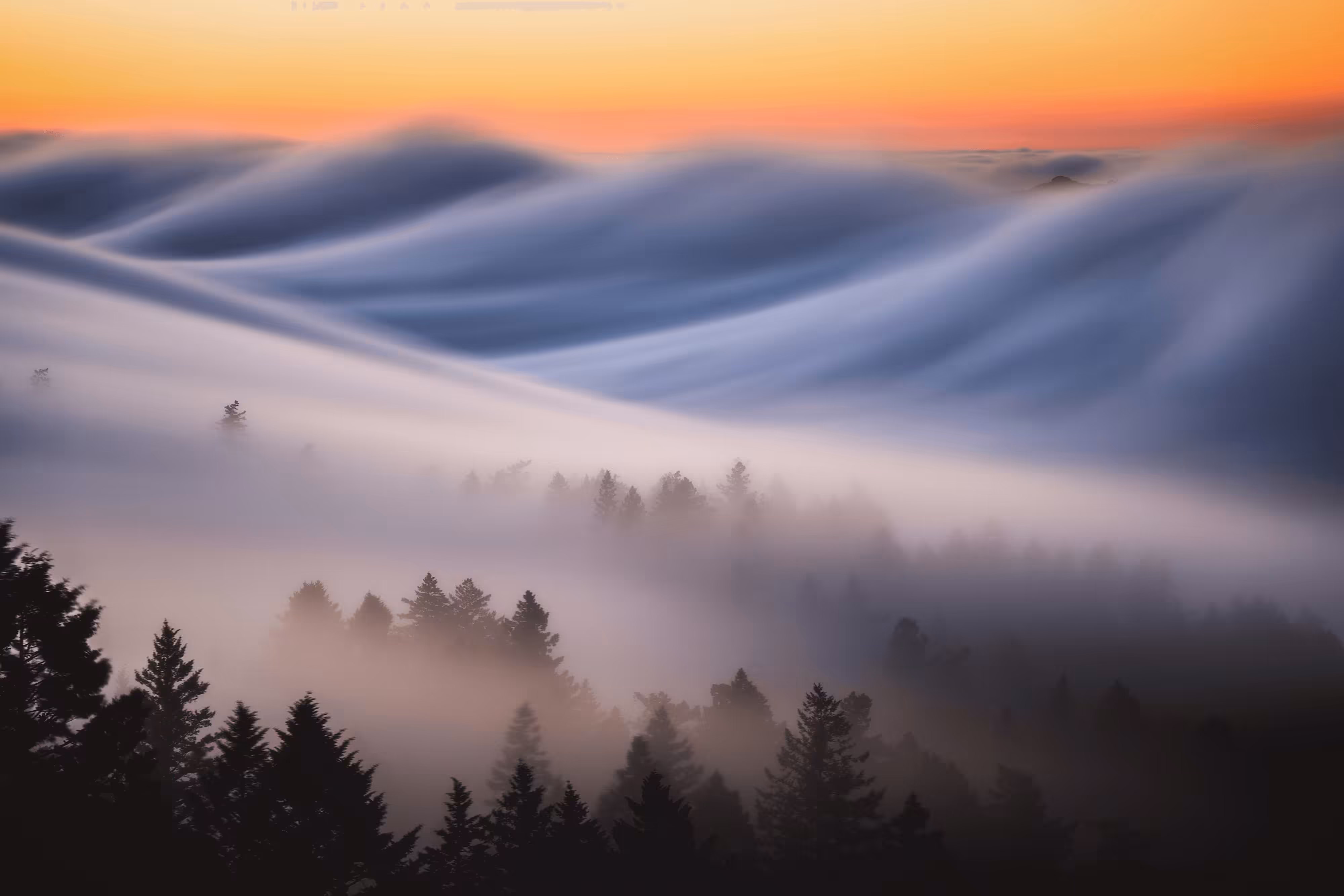 Bay Beginnings #43 // The Wave