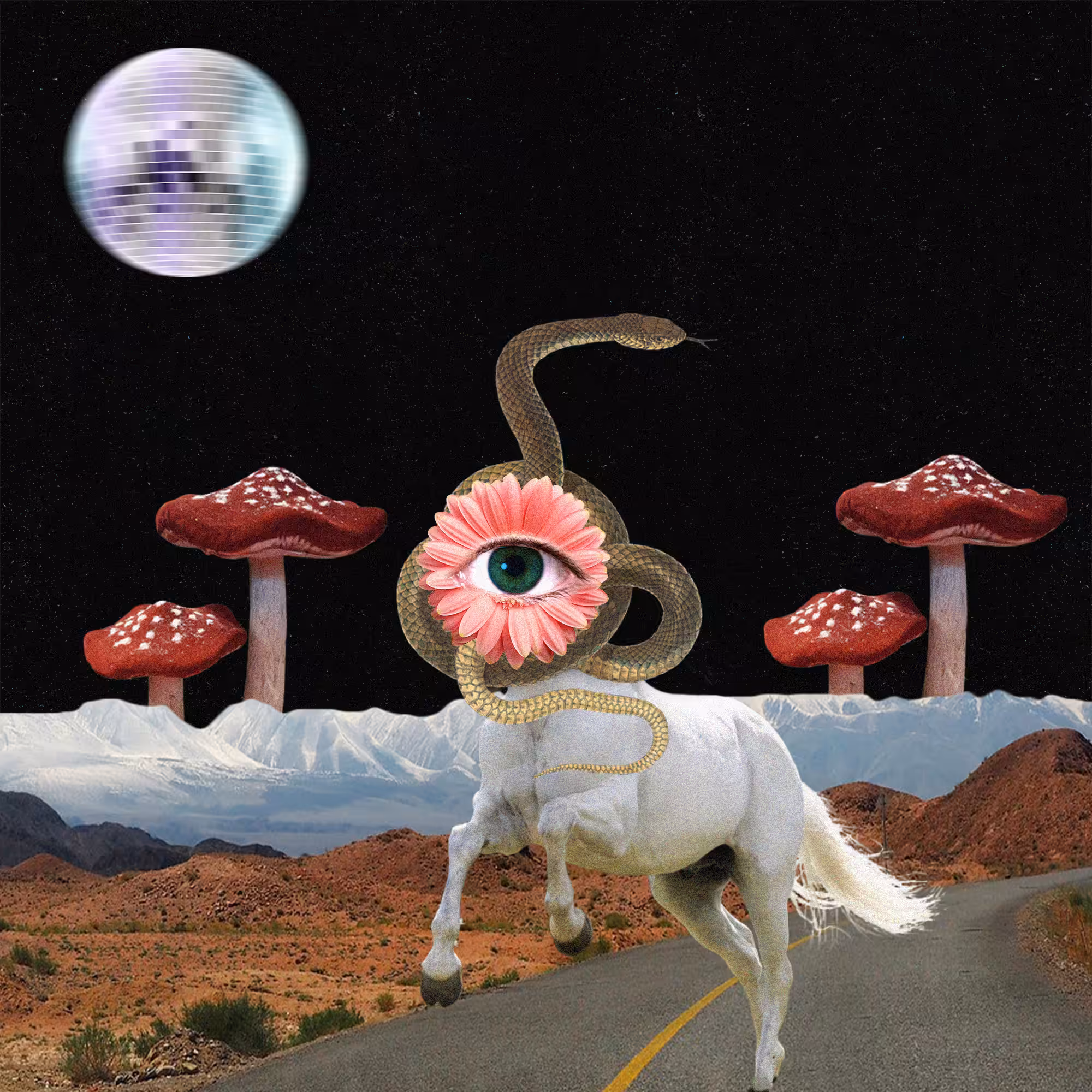 The Cosmic Carousel