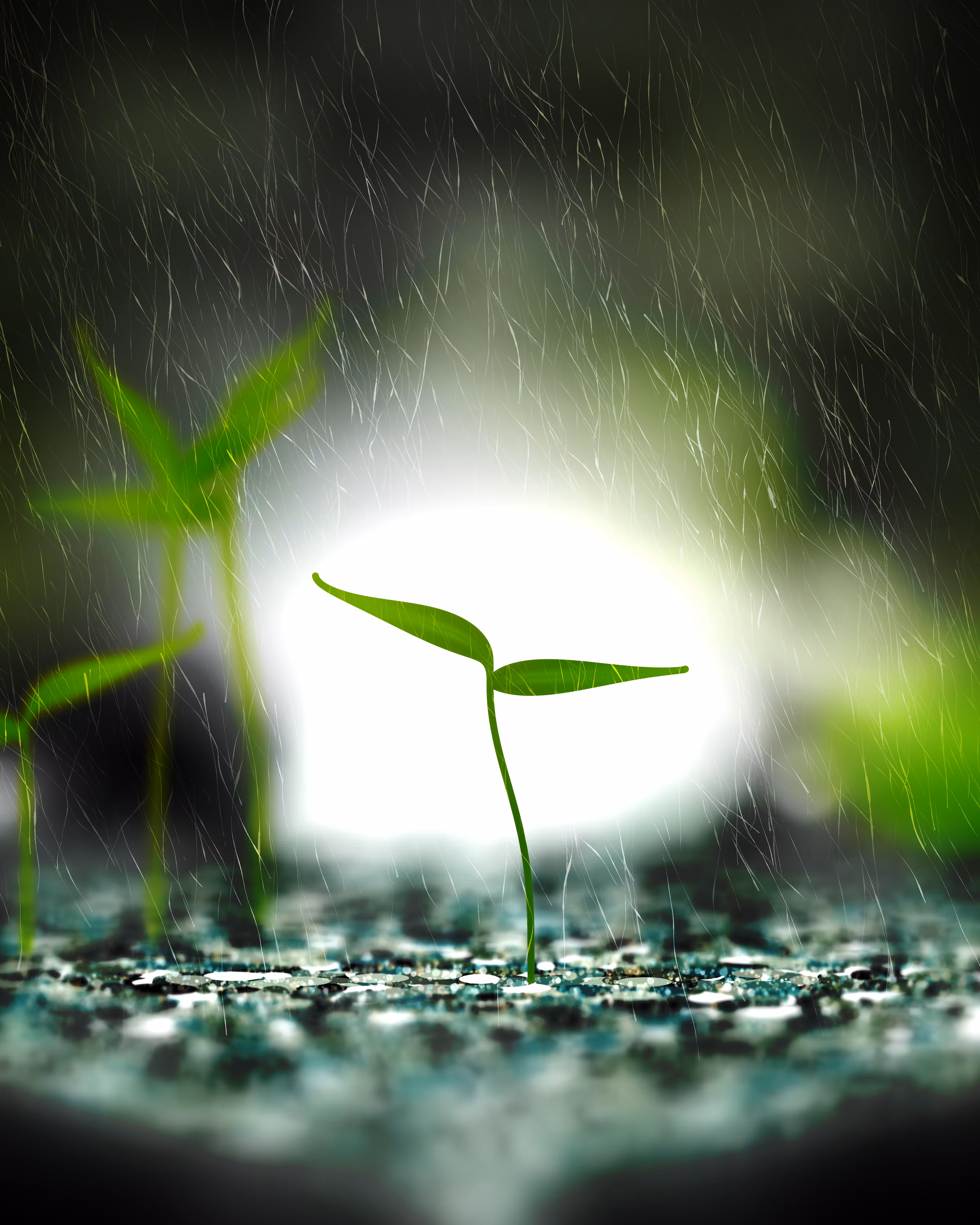 Take Root #7