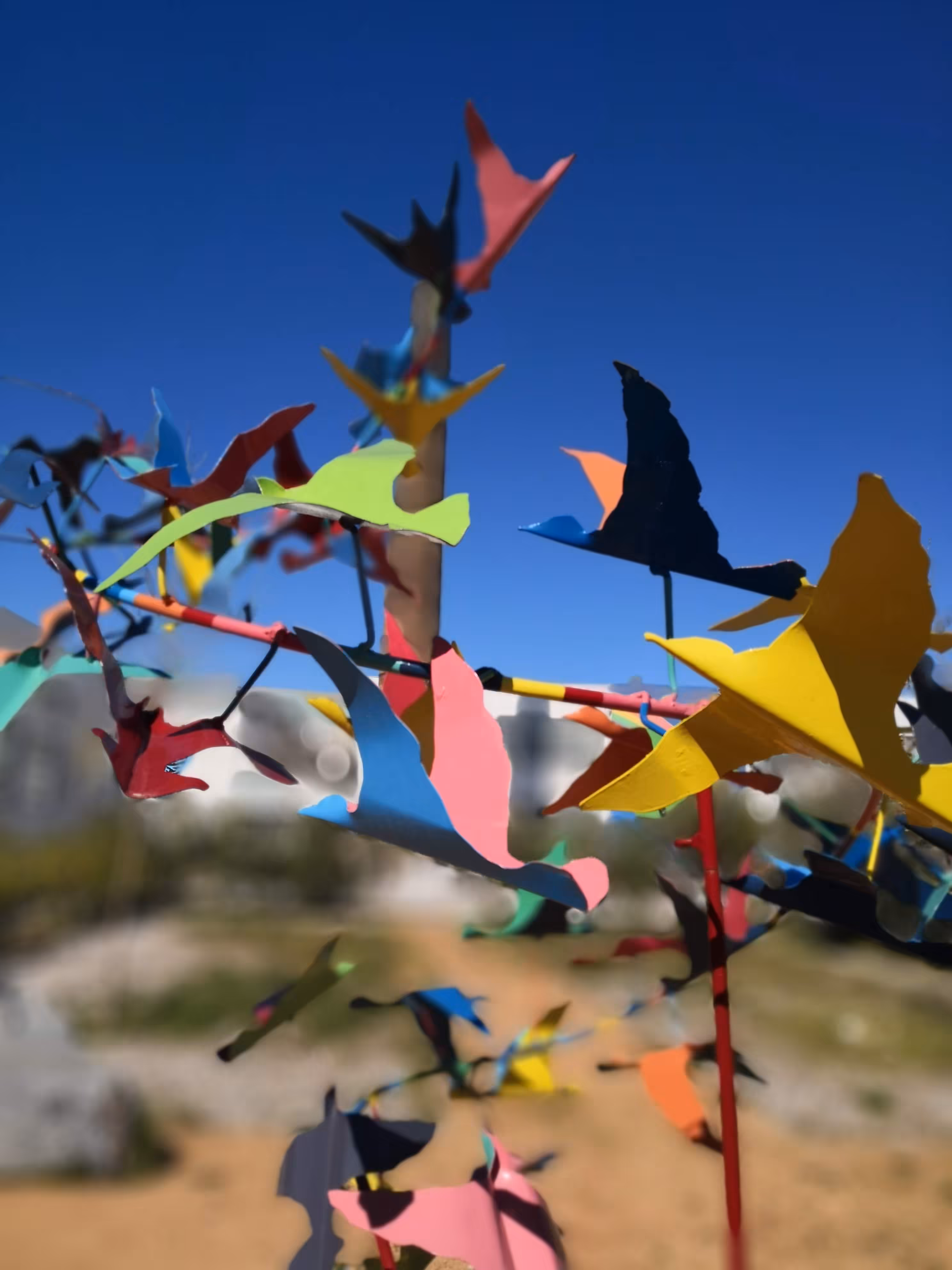 Photography moments: Birds