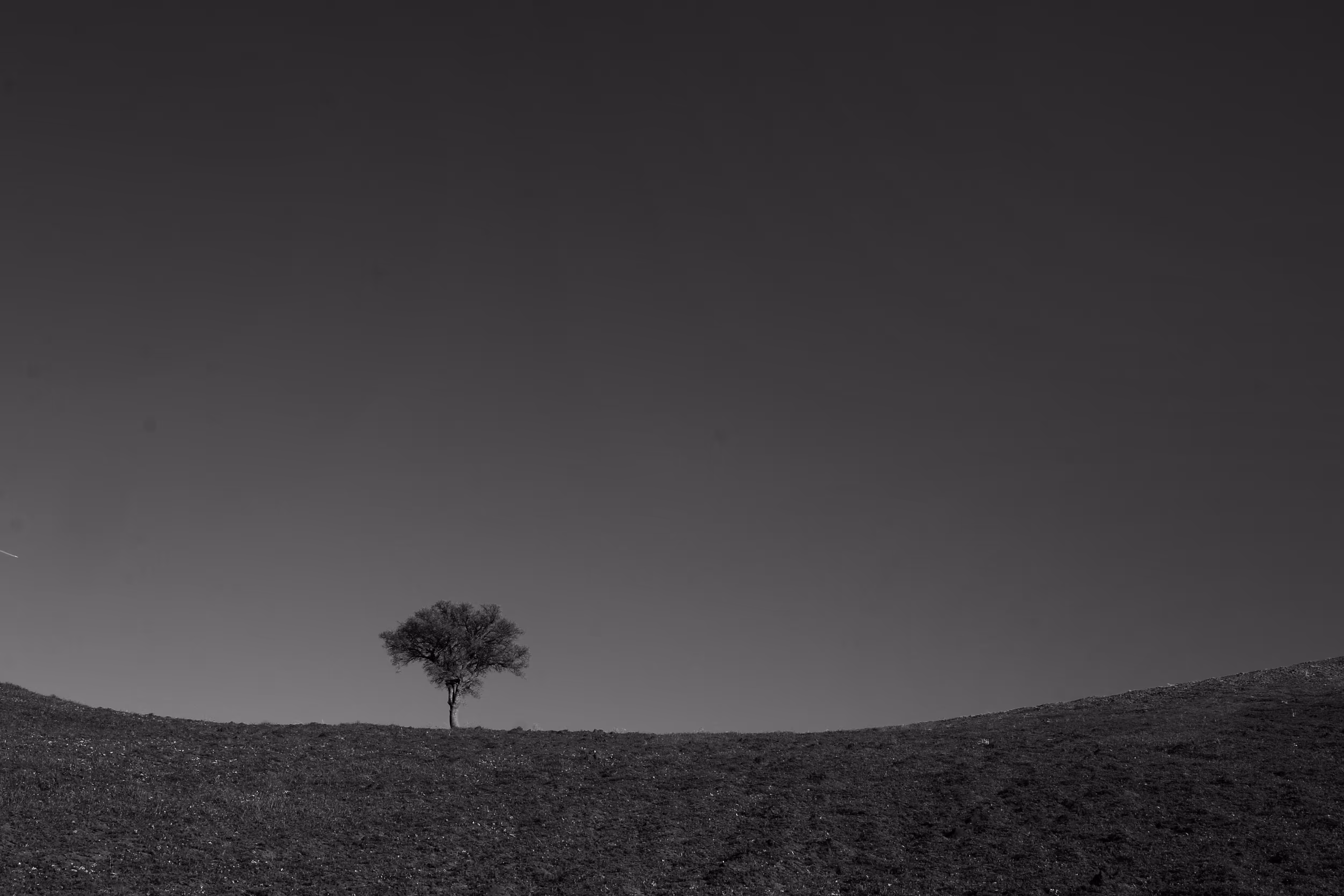 Alone