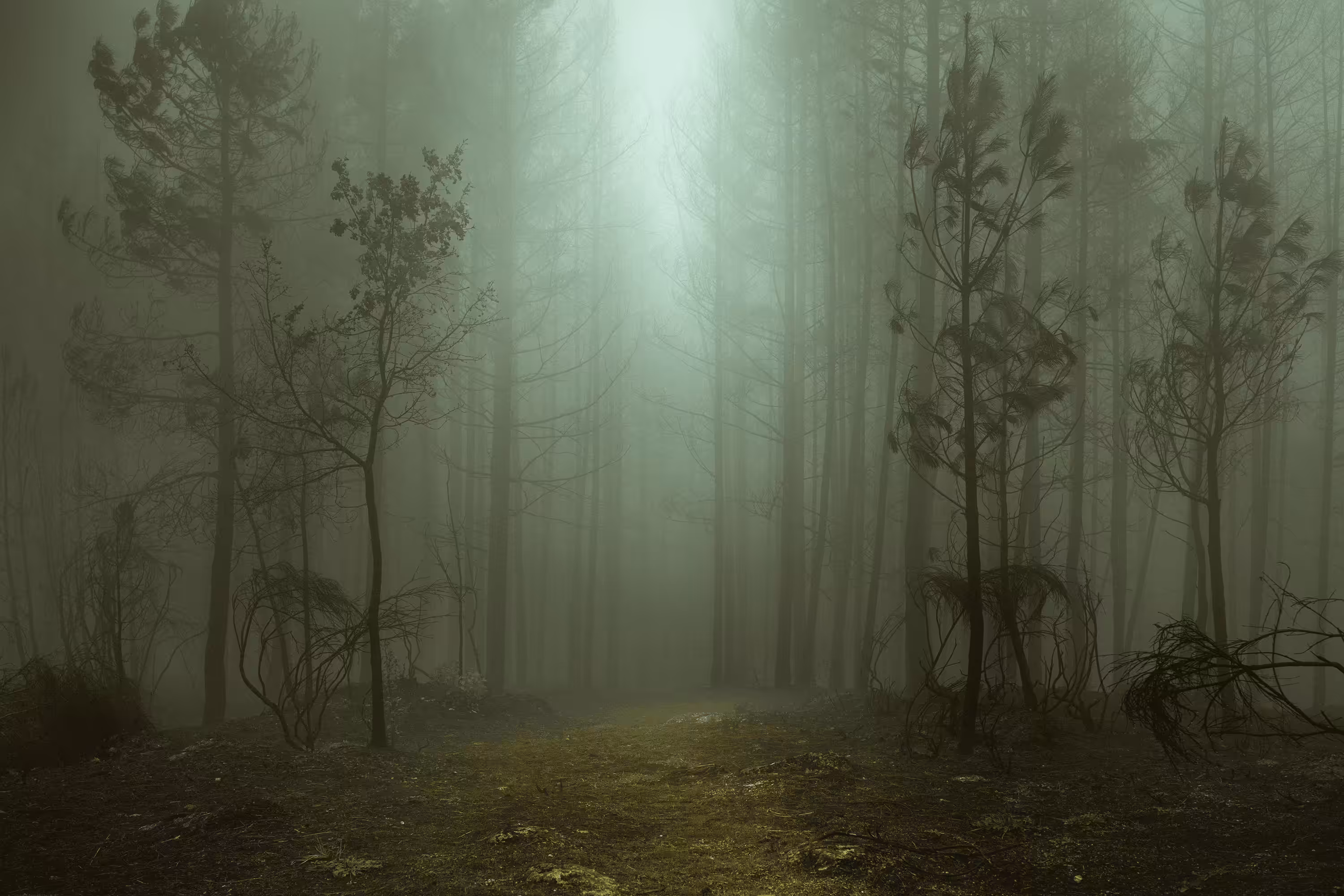 Perfect Darkness #9