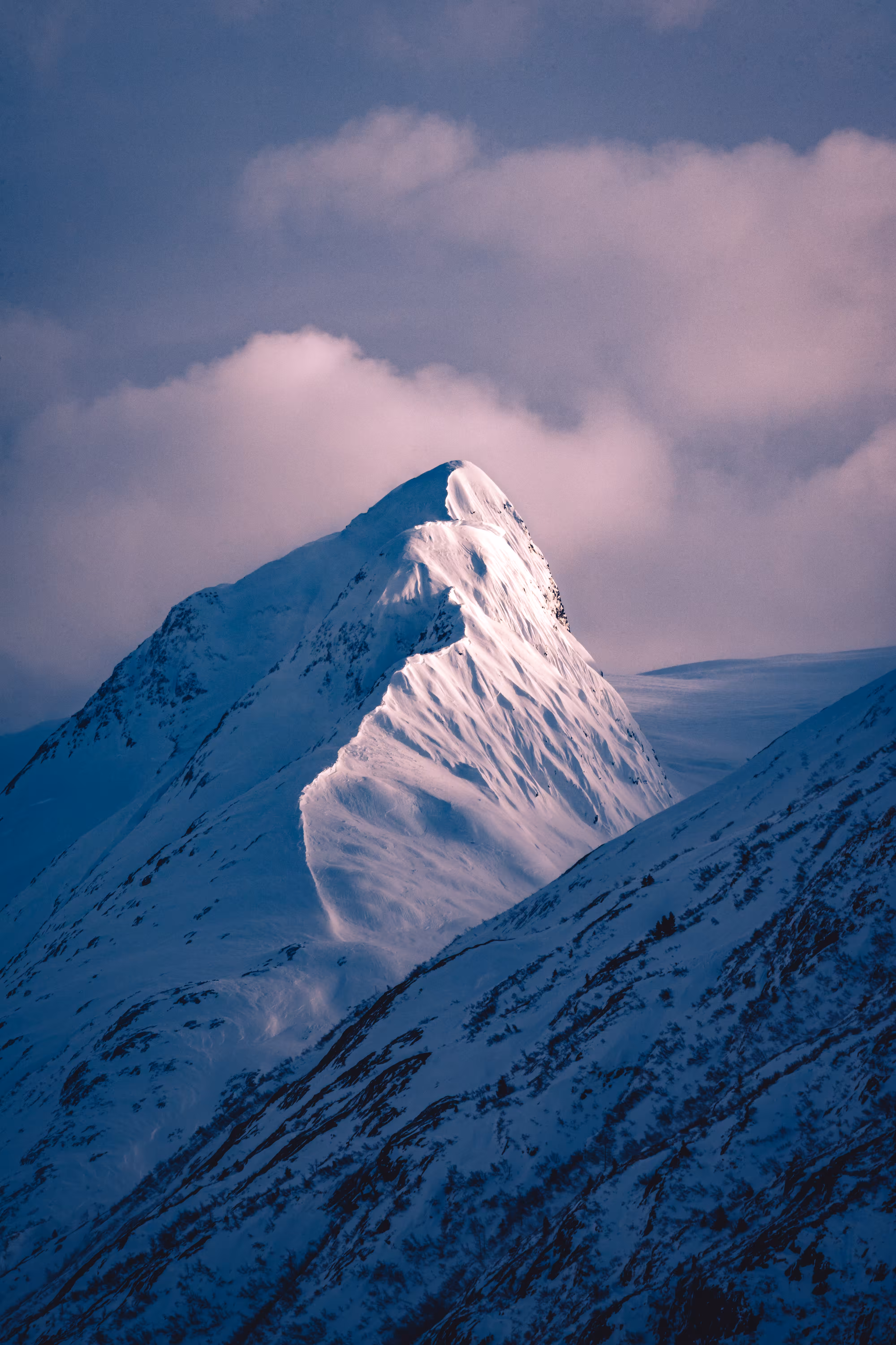 Shrouded in Clouds
