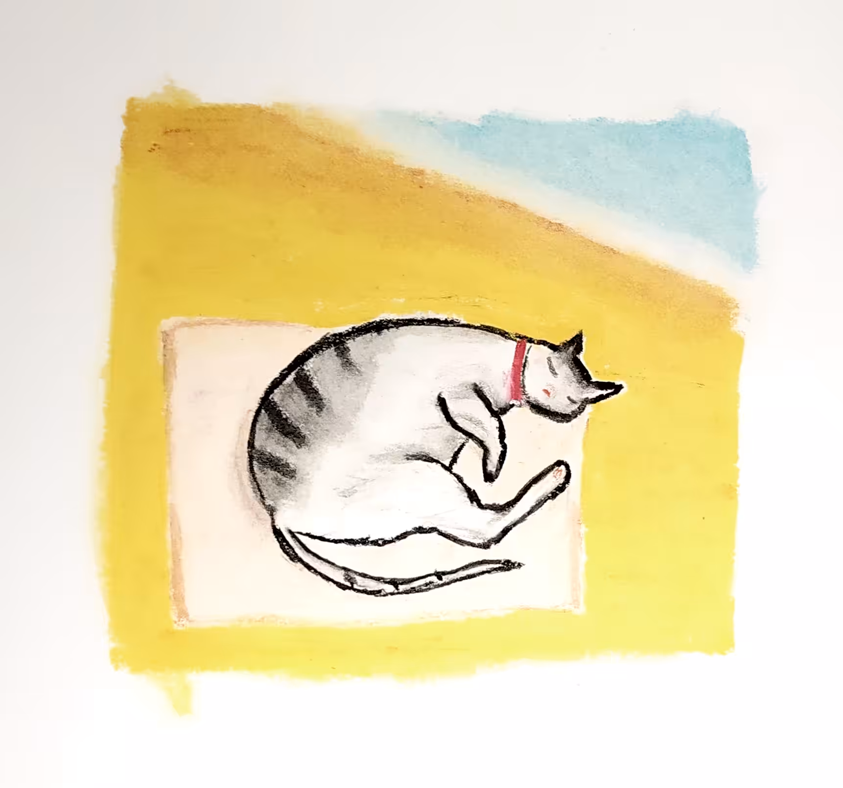 un gato durmiendo en la playa