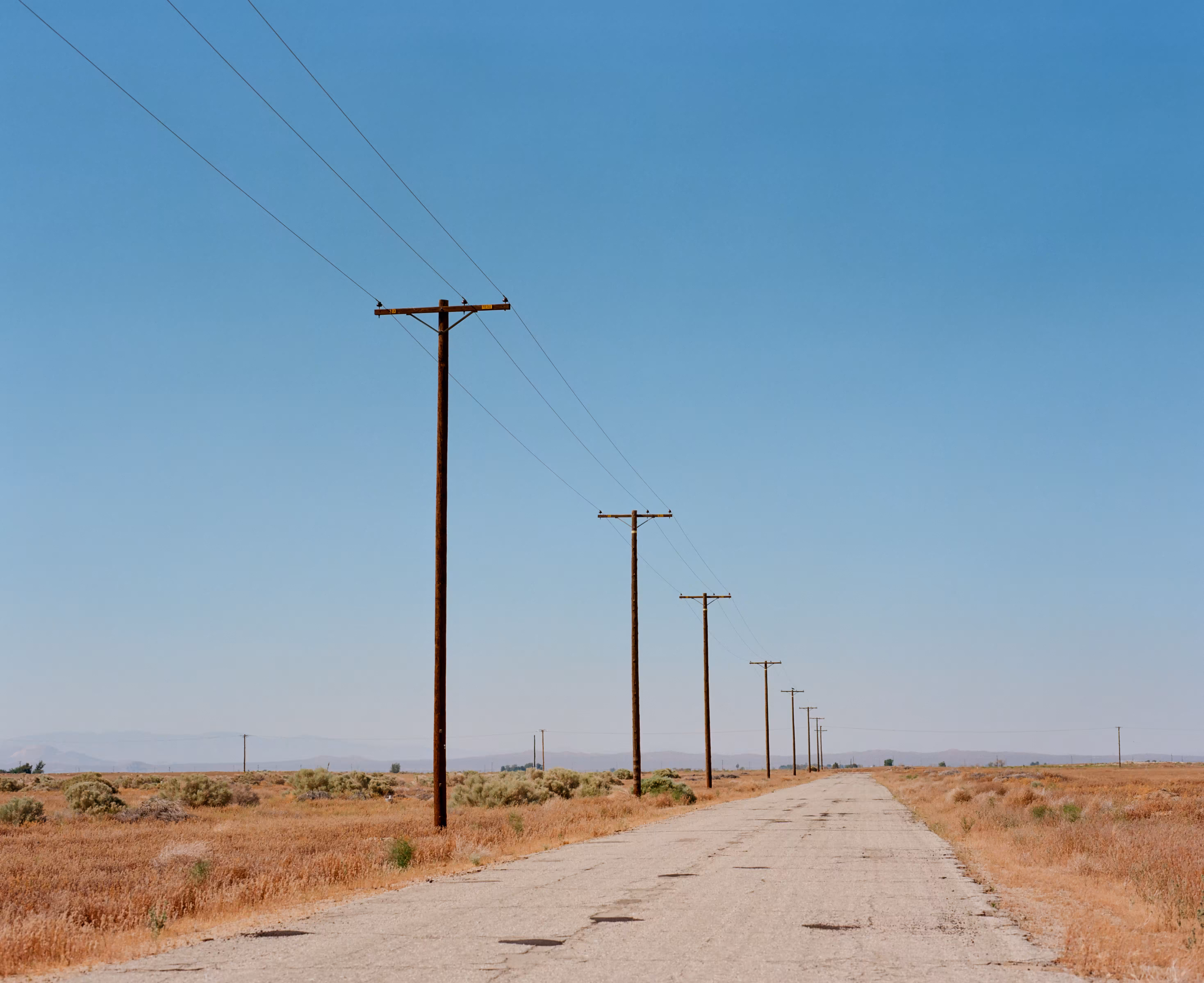 The Long Road Home