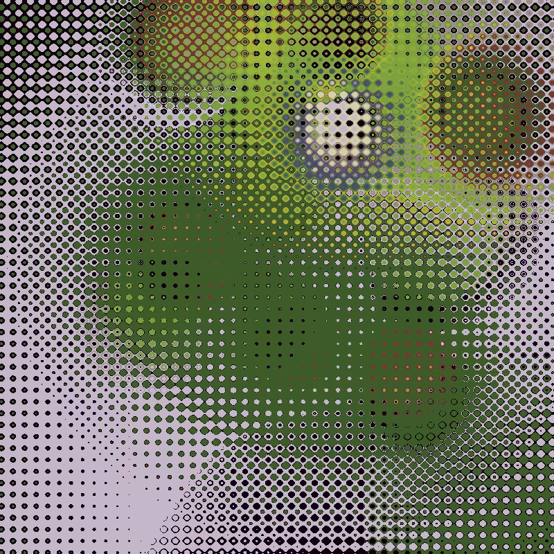 Focus #92