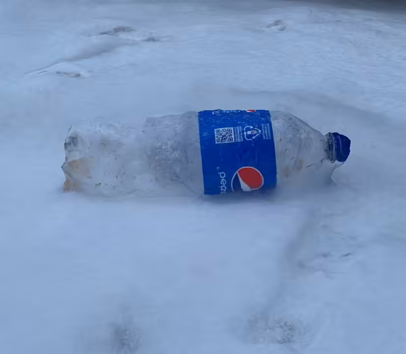 Feel the Russian winter 1 / Winter garbage / Pepsi Bottle