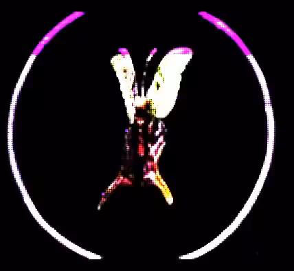 Butterfly Effect