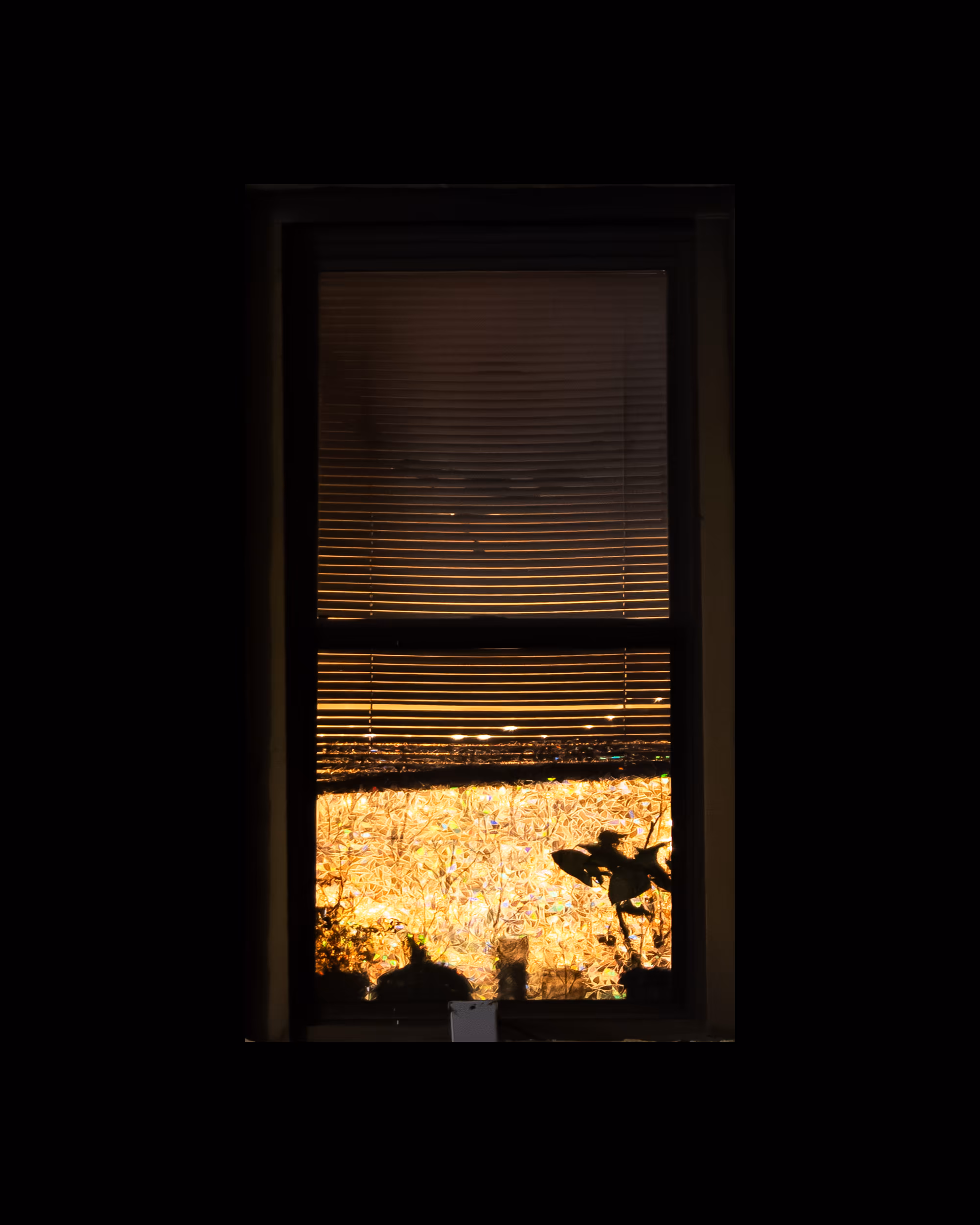WINDOWS // NYC: WINDOW 616