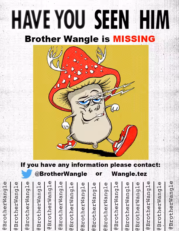 Missing Wangle 19