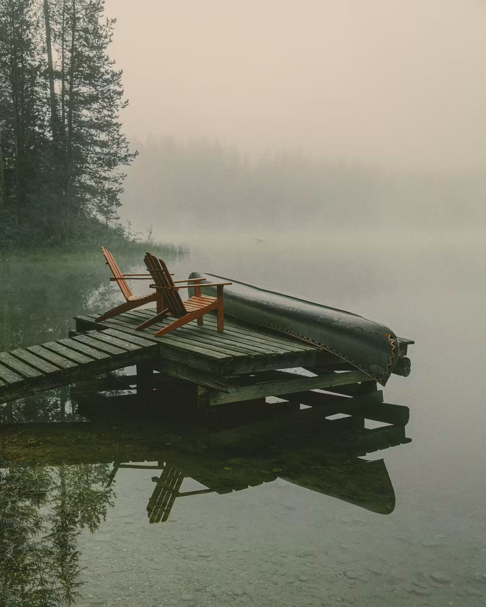 Misty Morning