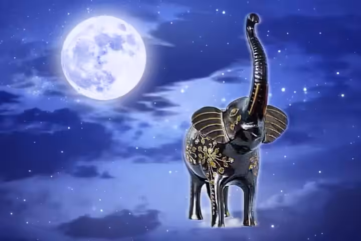 Elephant on a moonlit 🌉