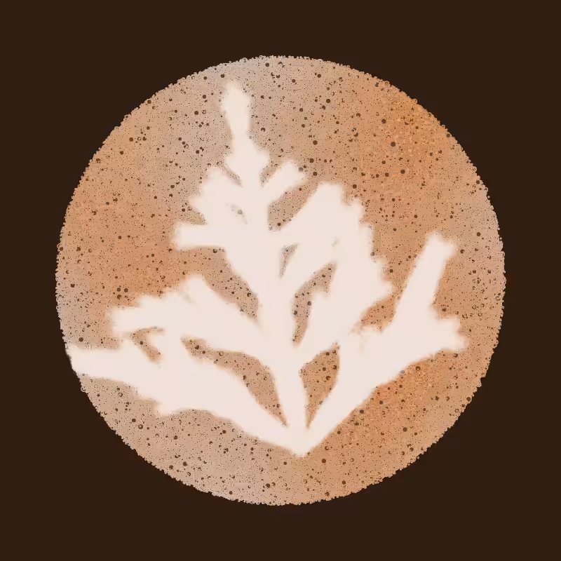 Barista (refill) #1