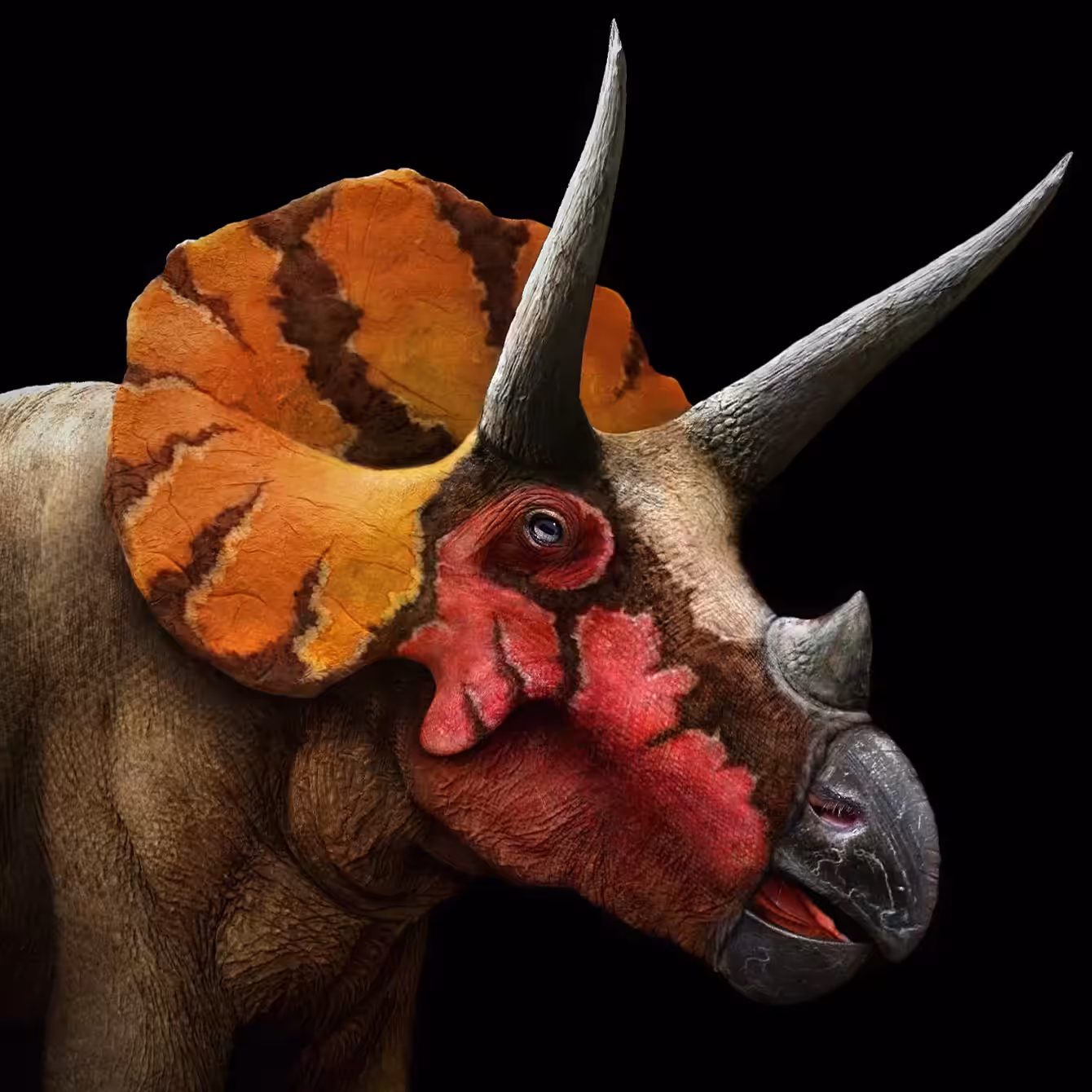 Triceratops