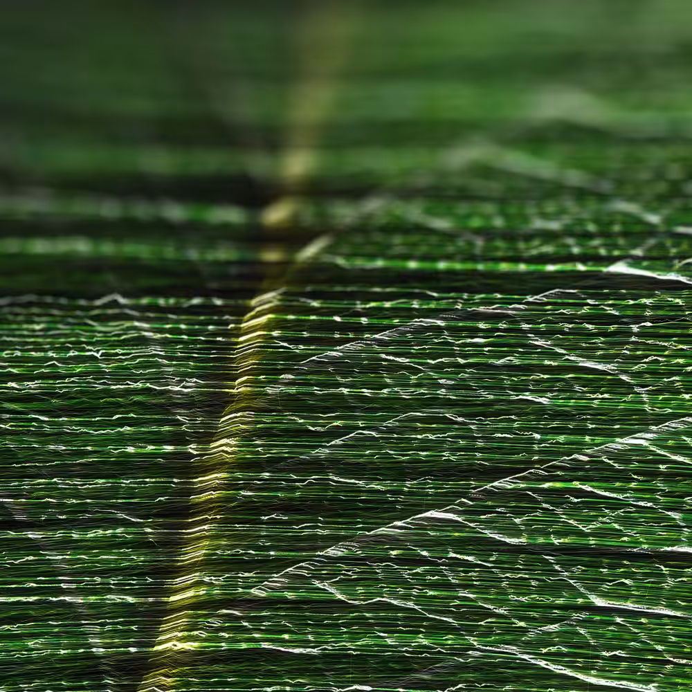 DIGIA LEAFS