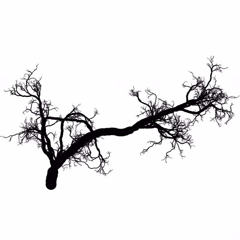 Tree 01 #71