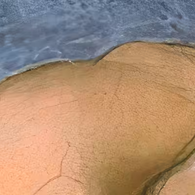 Tile [6, 8] - Softly Moving
