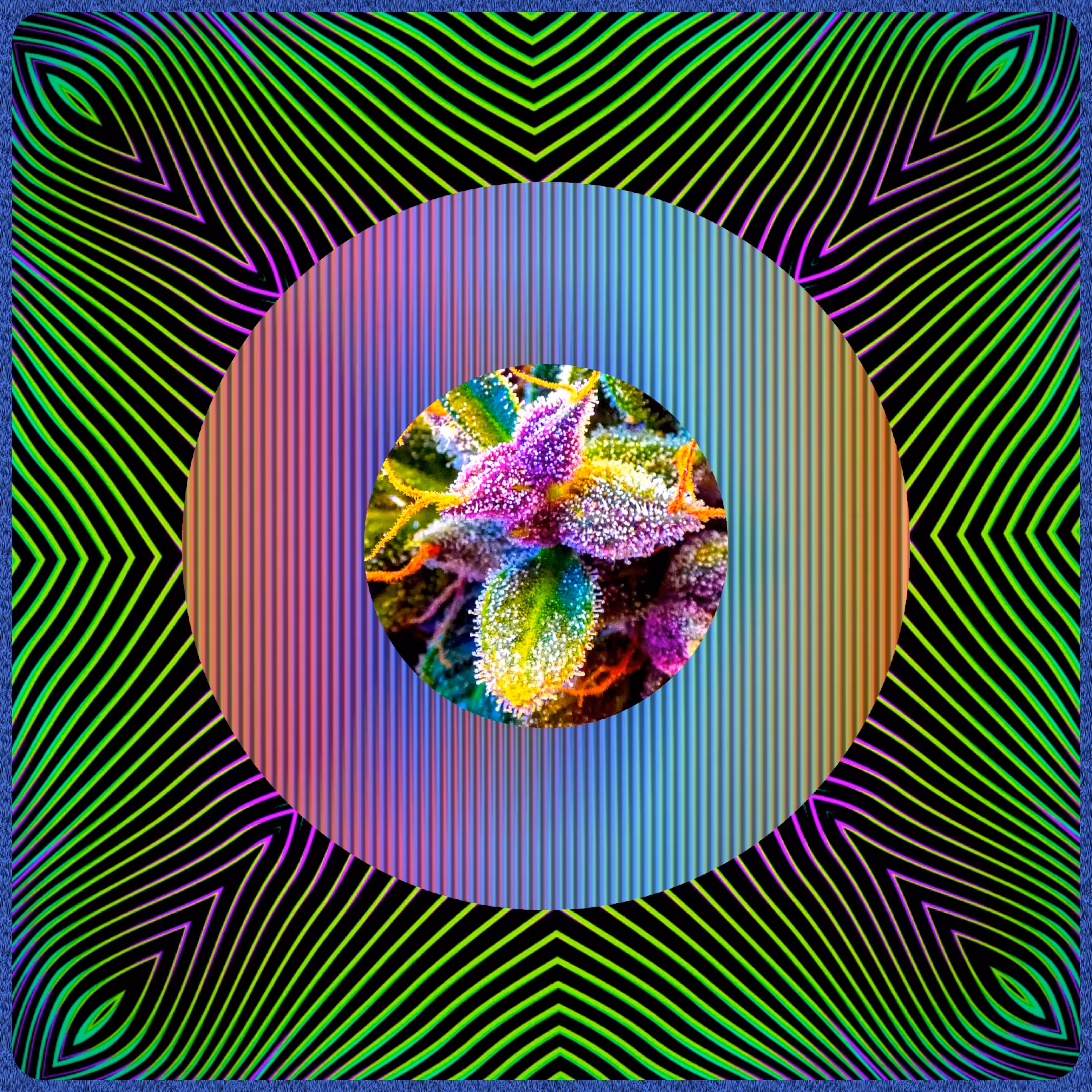 Four Twenty Frosted Flower
