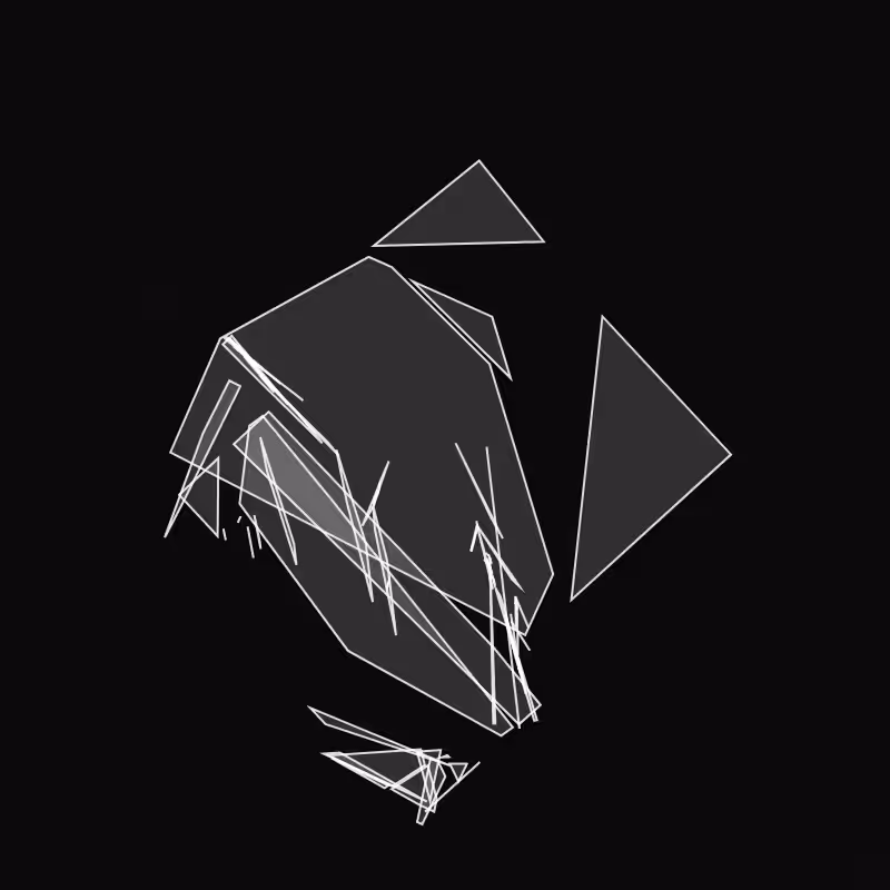 Fracture #8