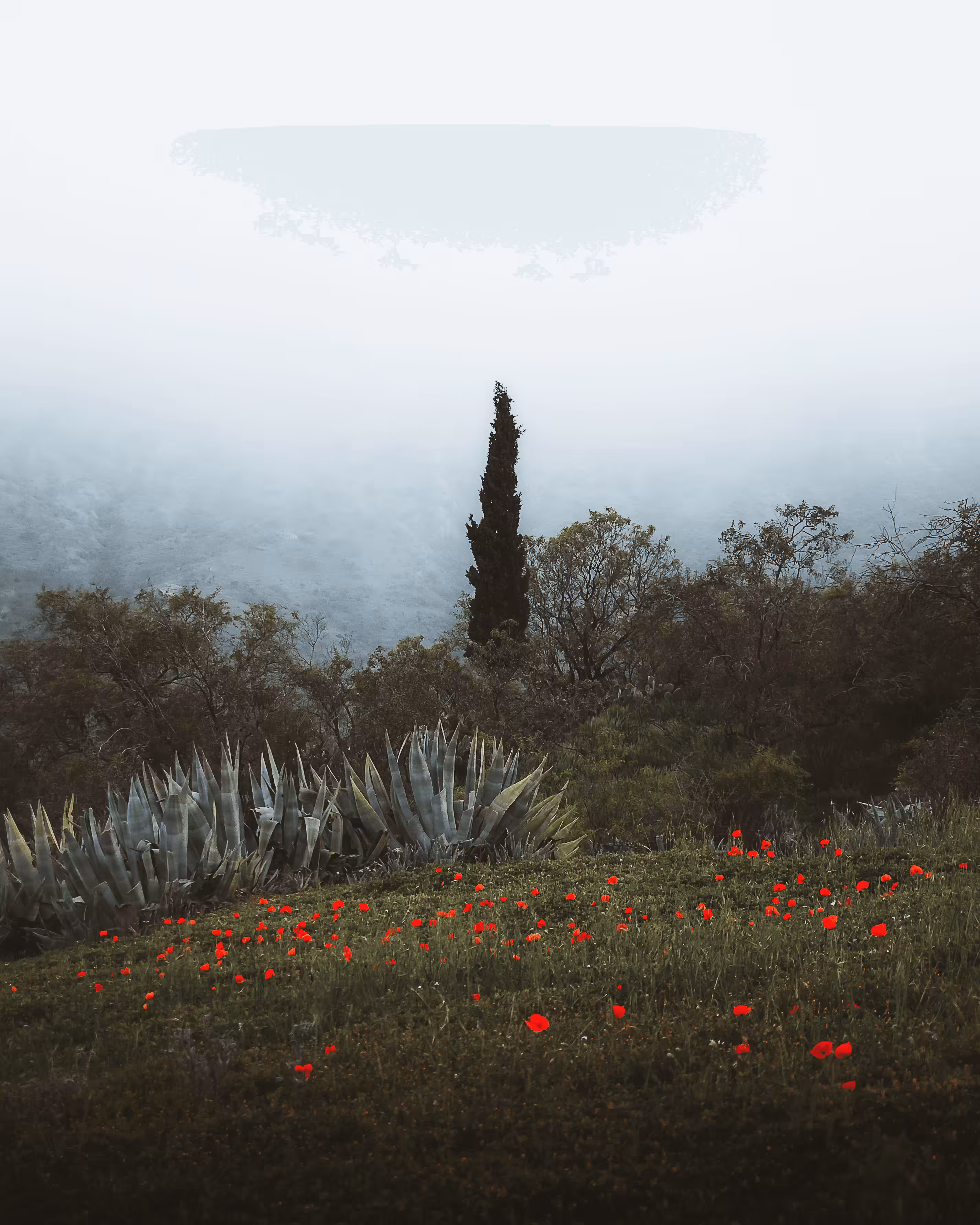 Lost in the nature