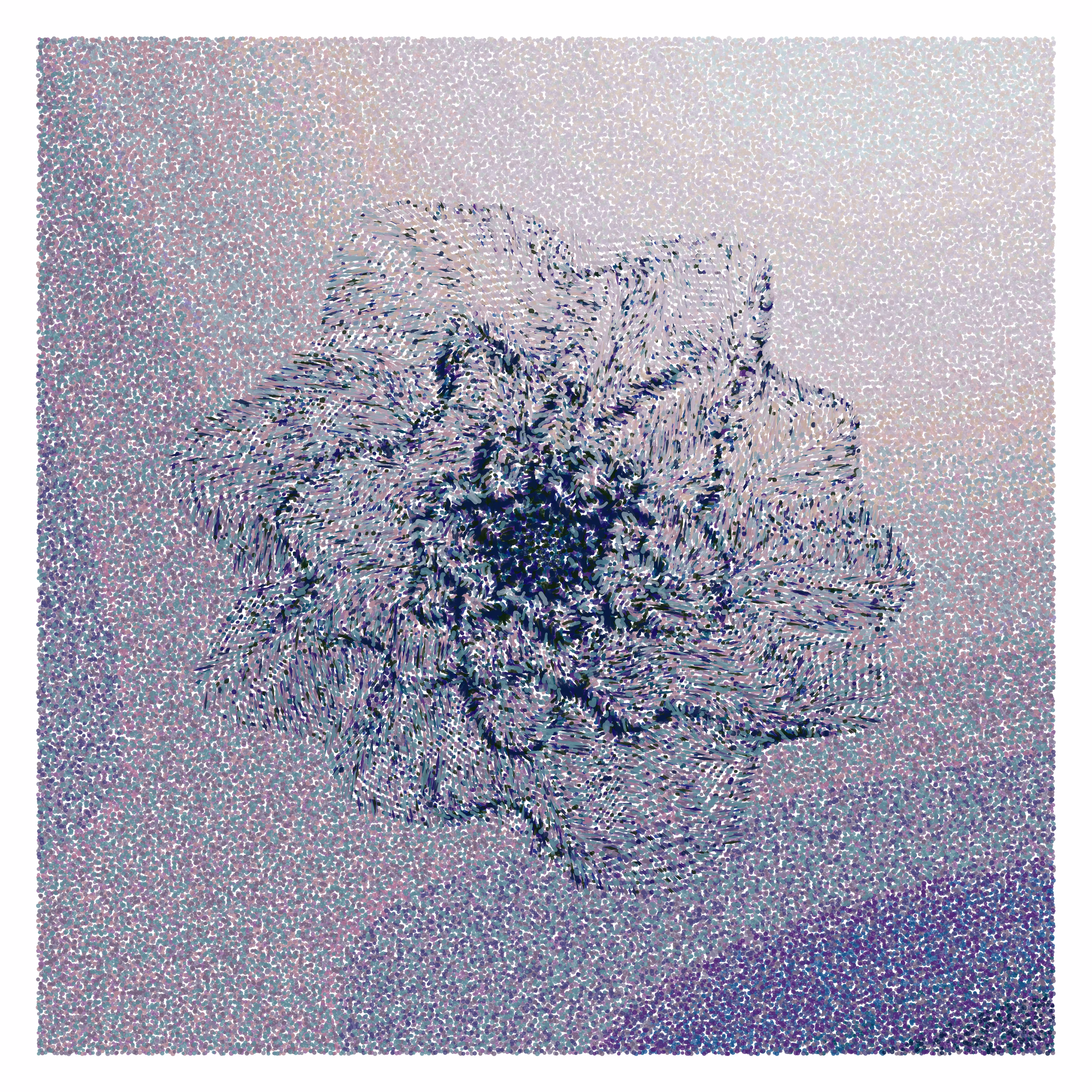 Flower Portrait #16