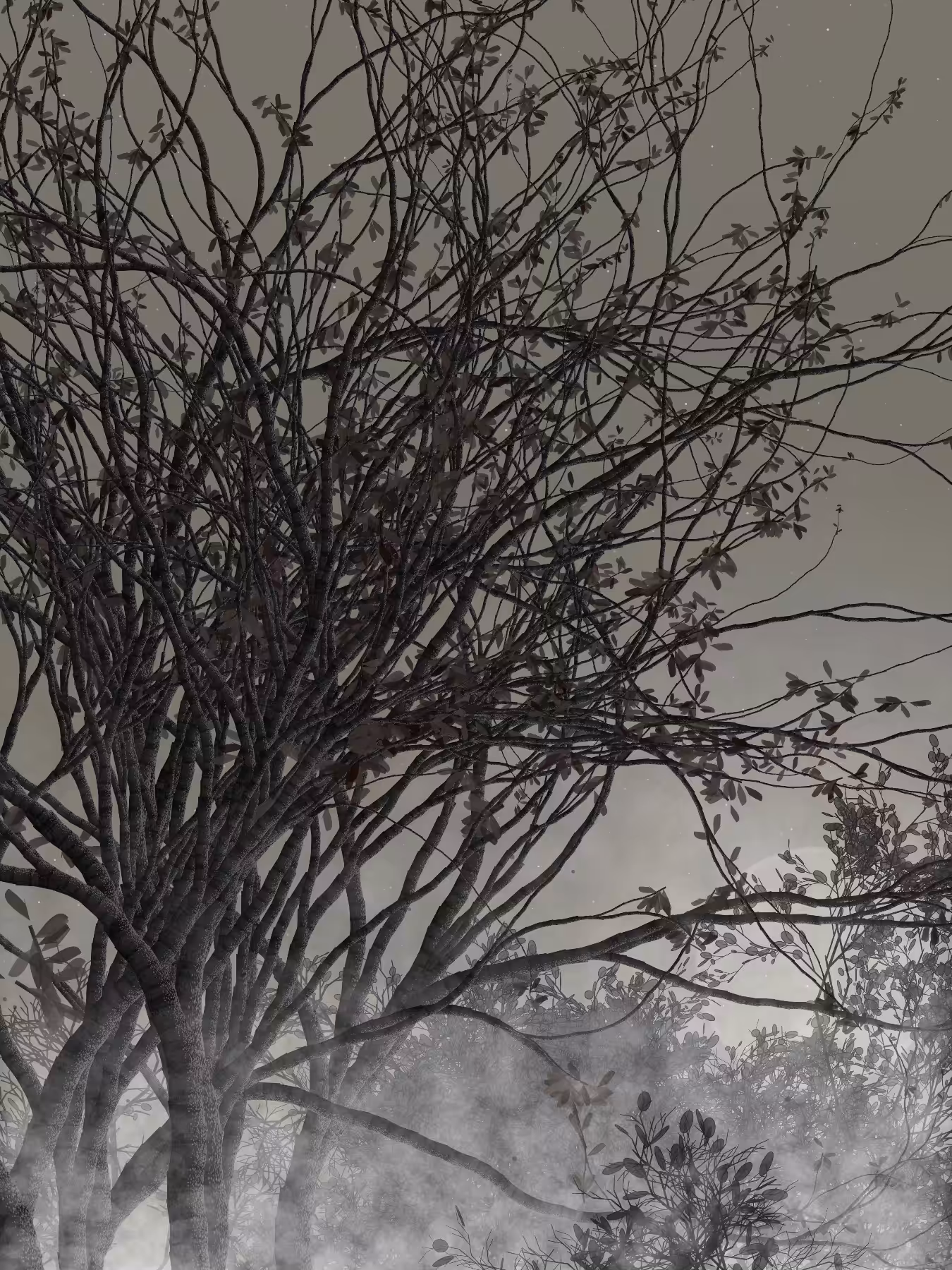 Morning Mist #90