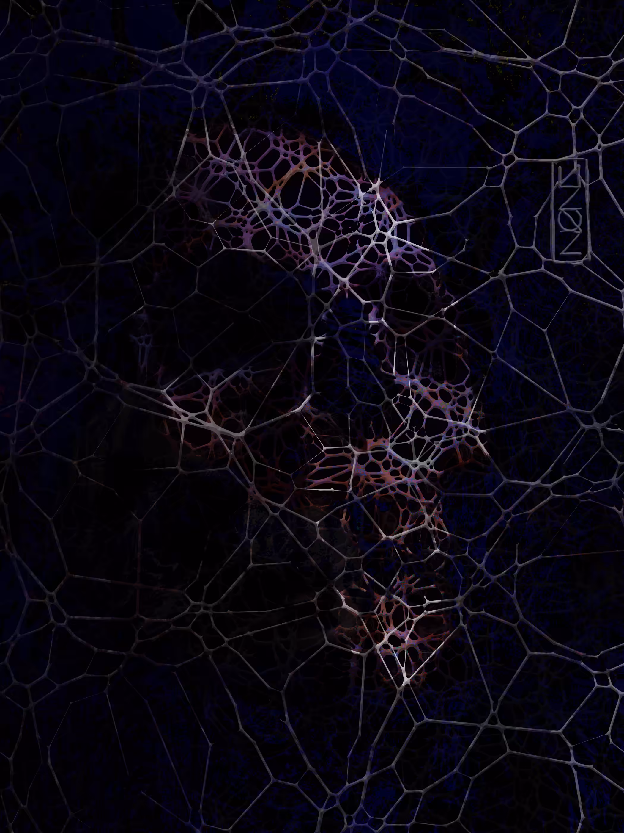 The Net