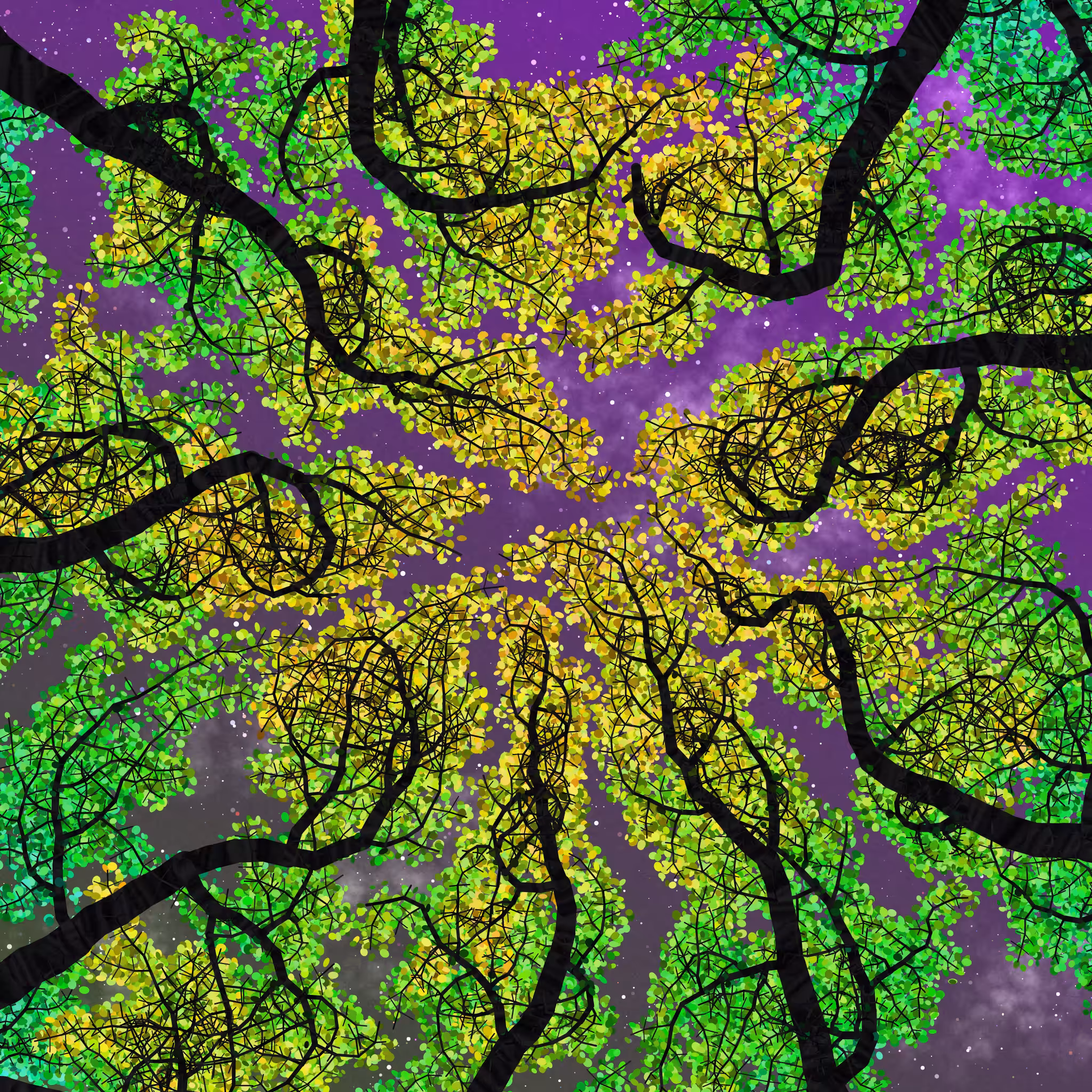 Tree Skyness #83