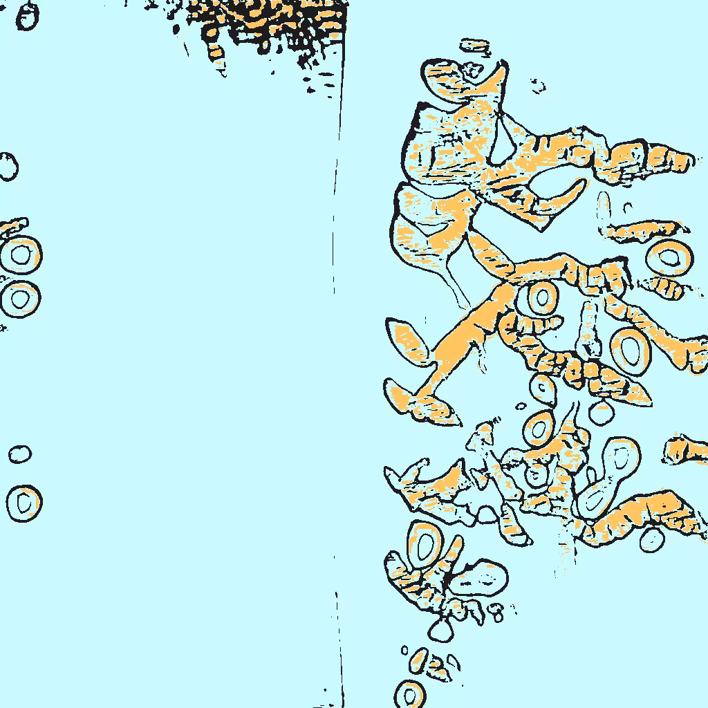 Confluence #161