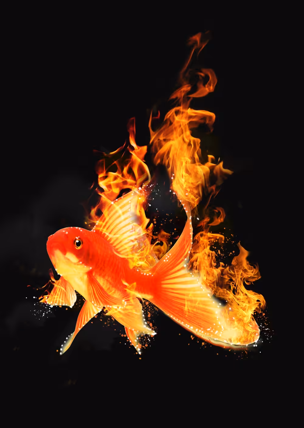 Flaming Fire Fish