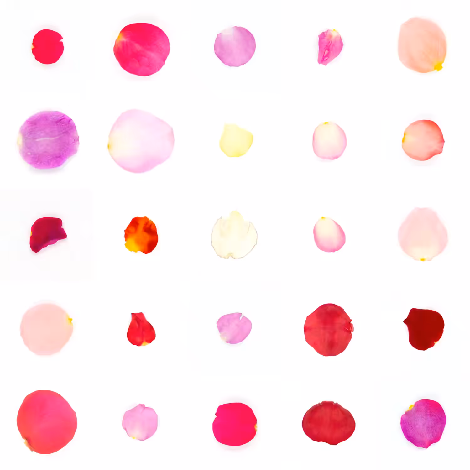 Infinite Petals 5x5#1513
