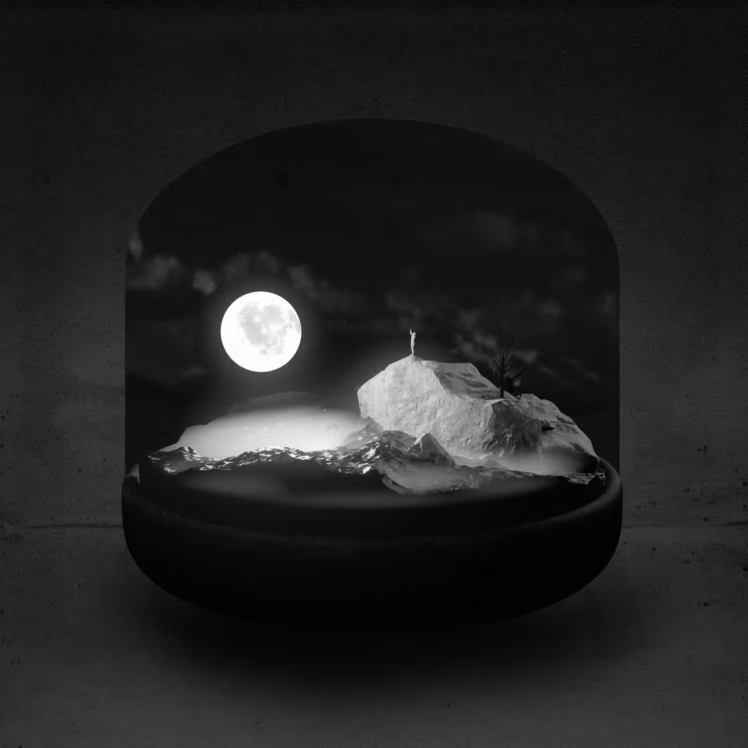 Moon Wanderer