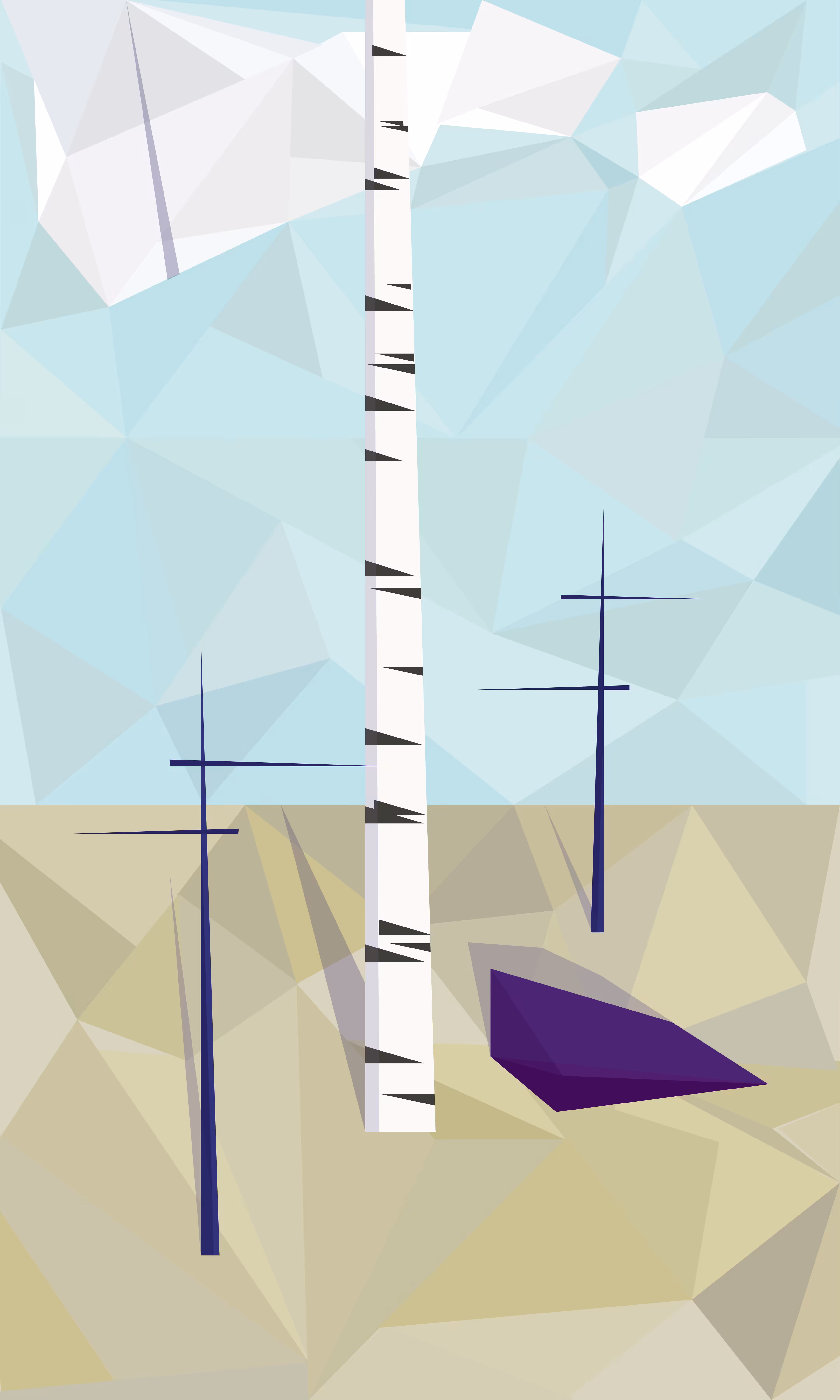 The Tallest Tree in the World