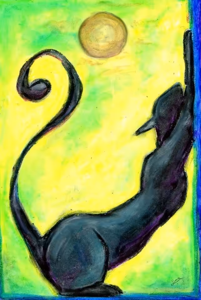 Black Cat