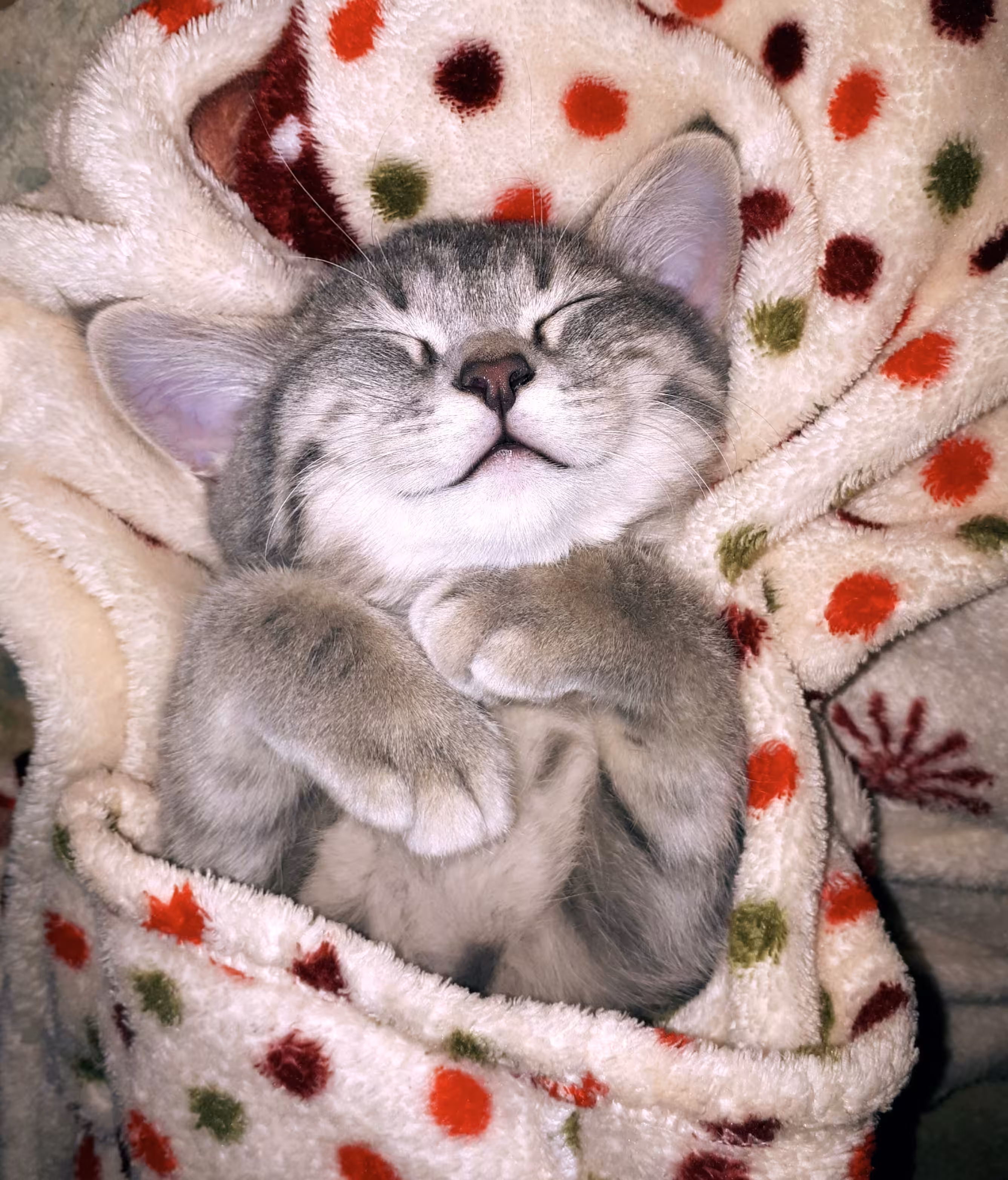 Young Princess