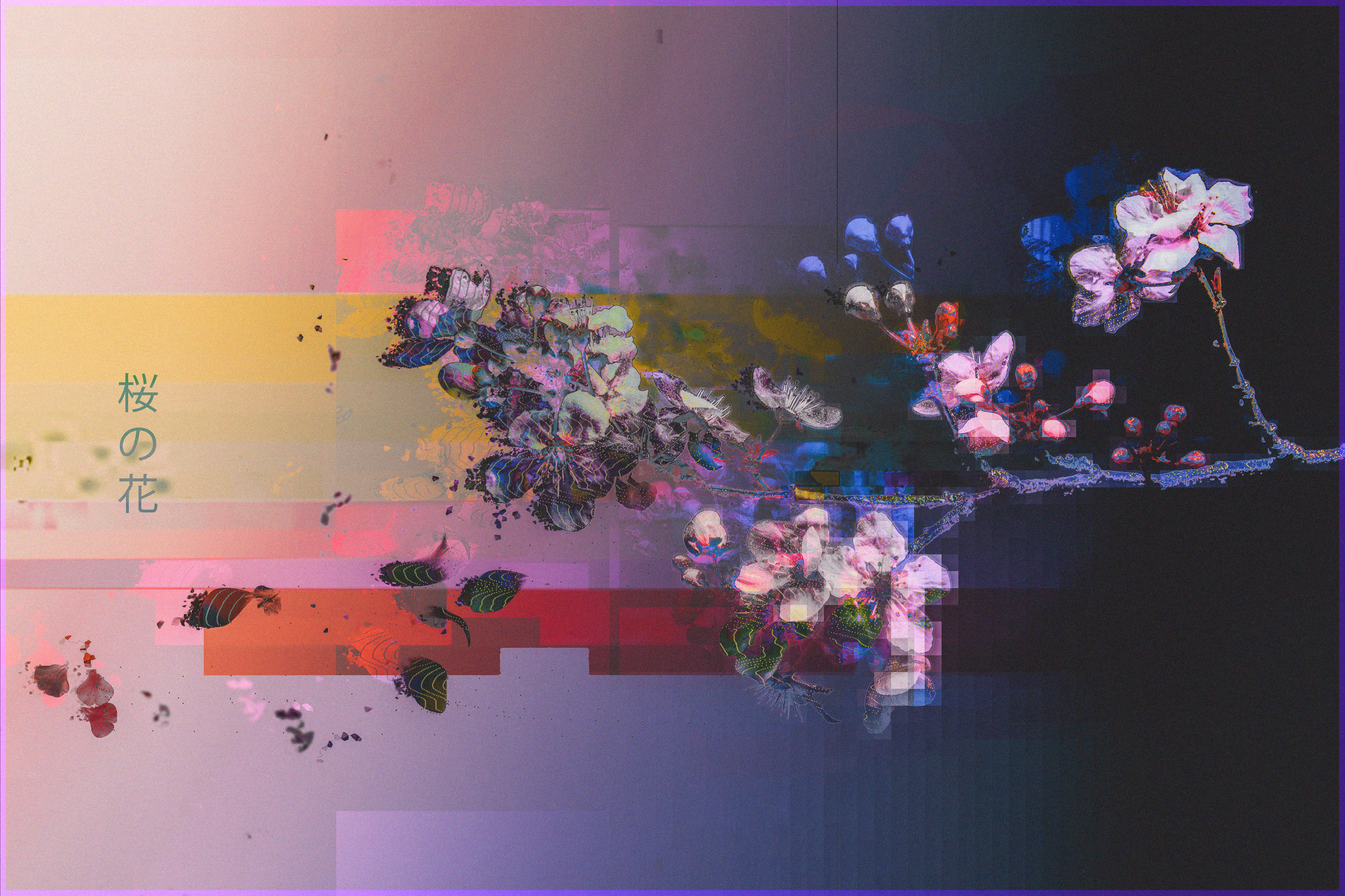 ｍｏｎｏ   ｎｏ   ａｗａｒｅ ░  桜の花