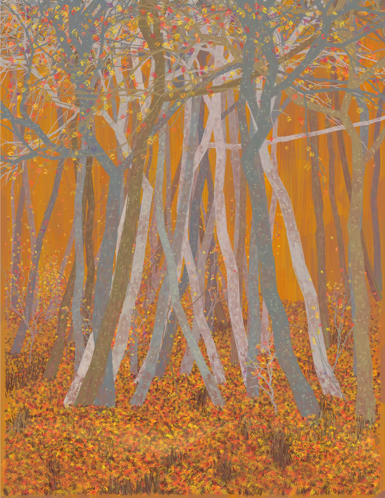 Deep Forest #322