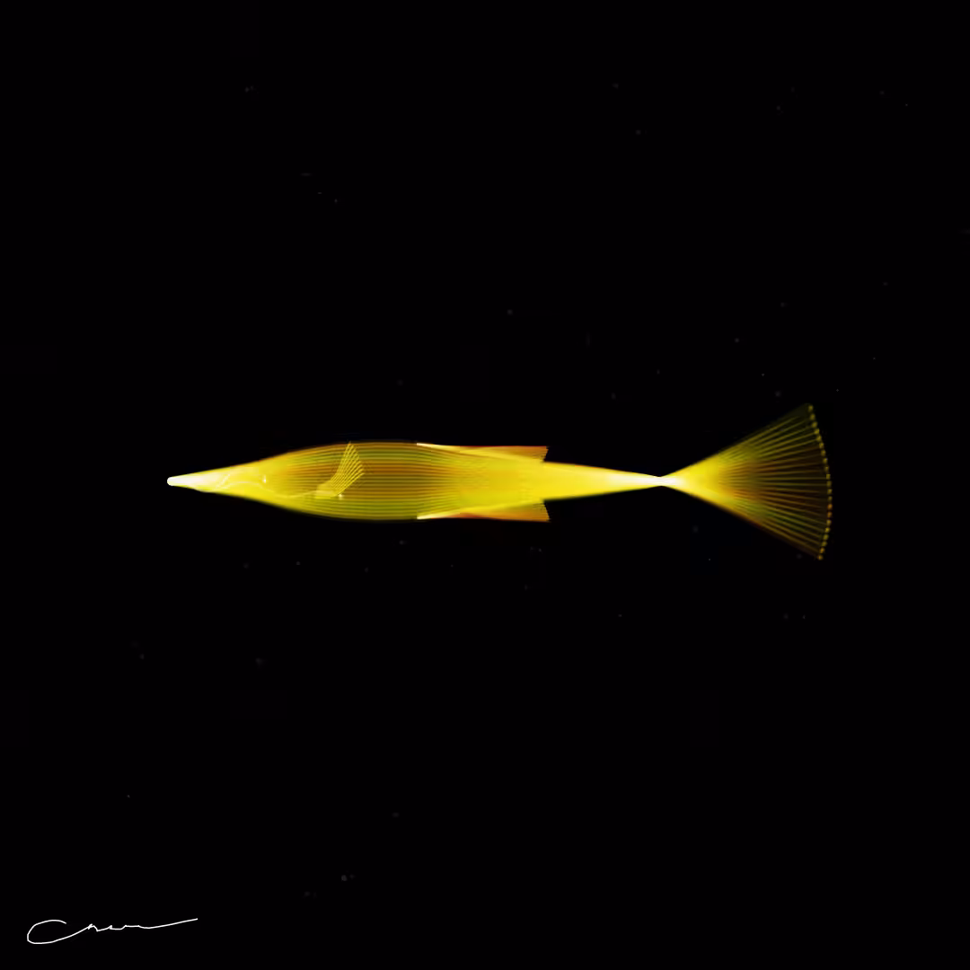 SoulFish #291