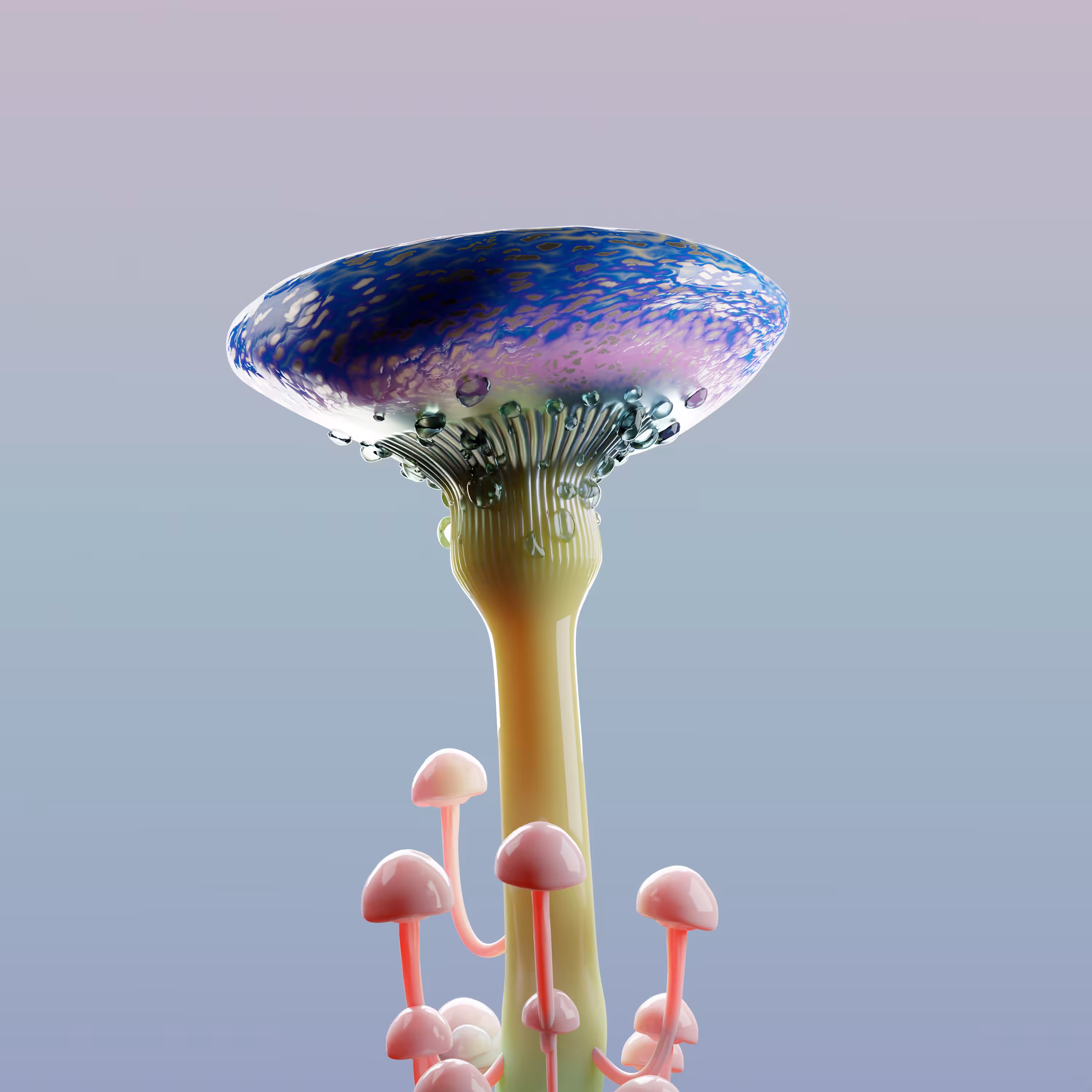 Blow Bone