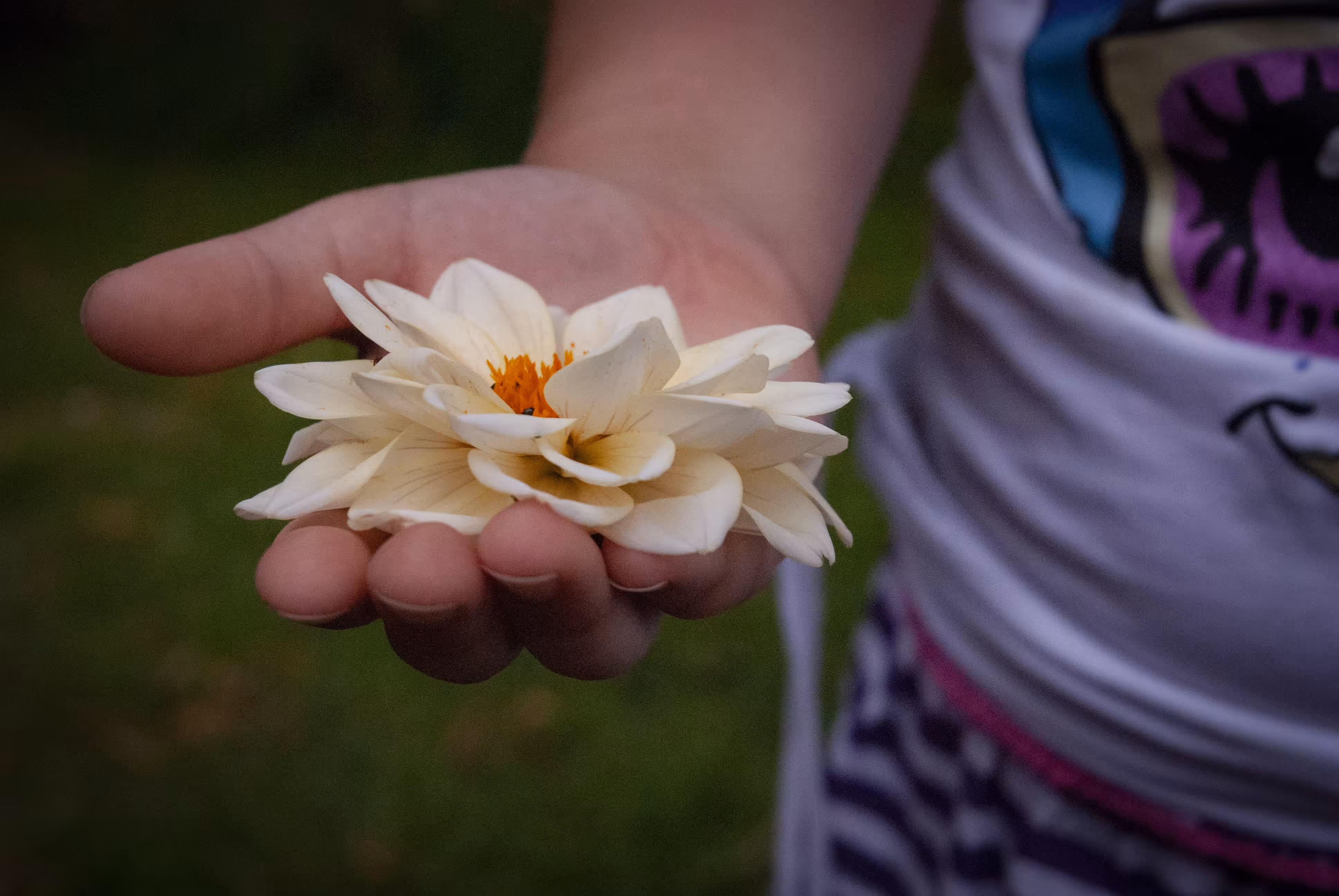 I hold you in the palm of my hand