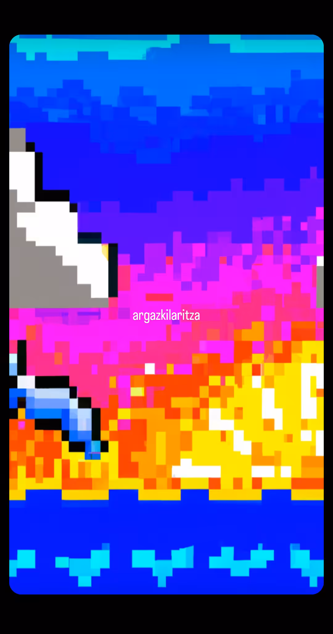argazkilaritza