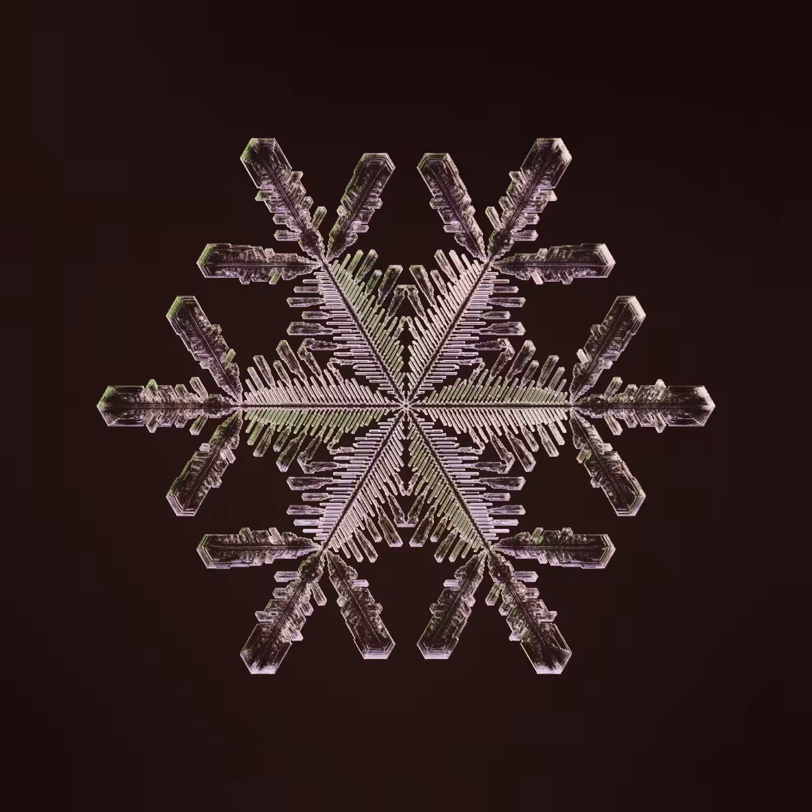 Symmetry and Intricacy #20