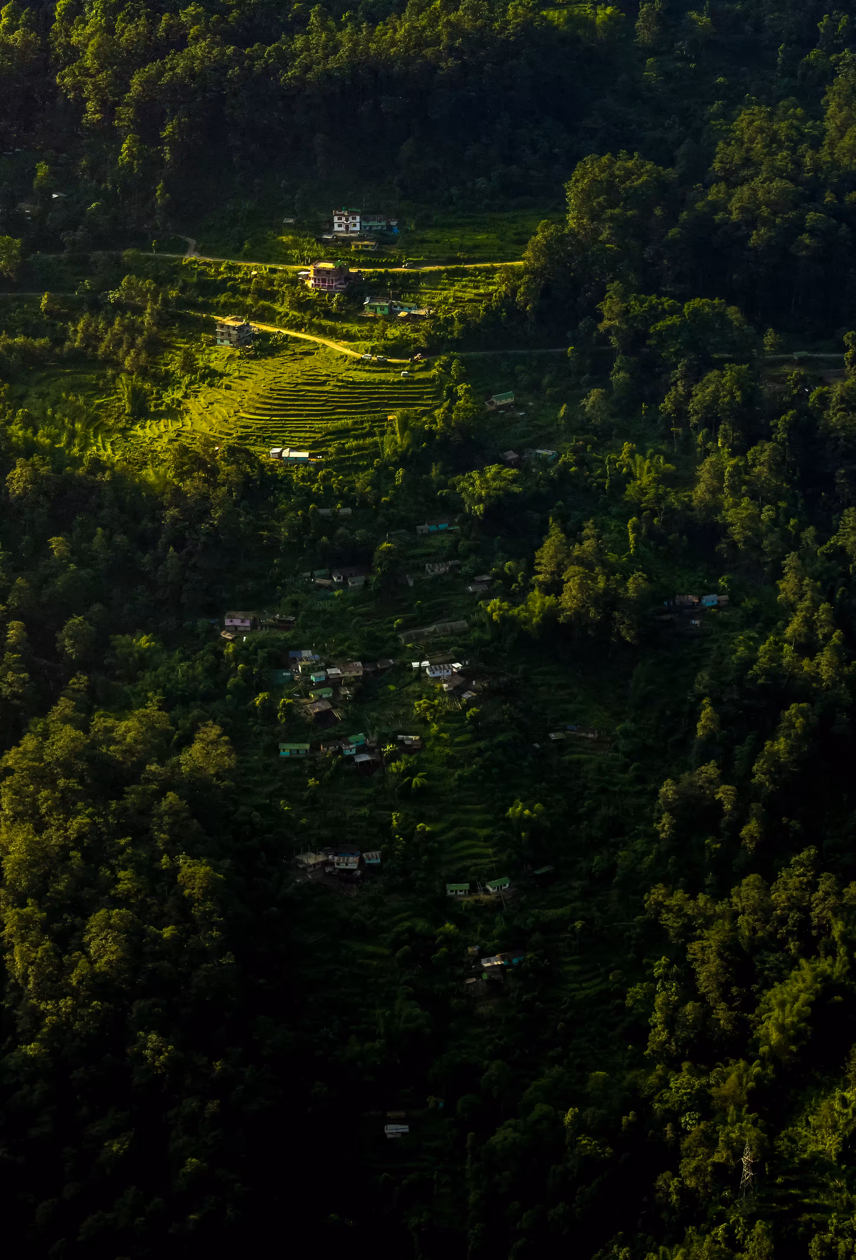 Life by the Hills