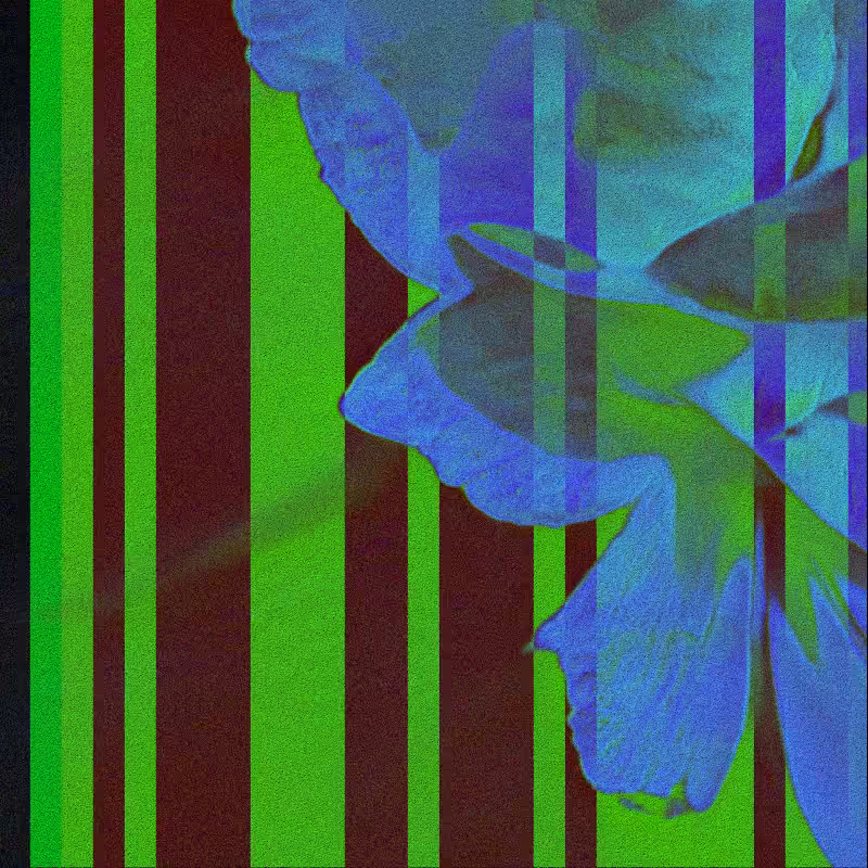 CLDCSMC #147