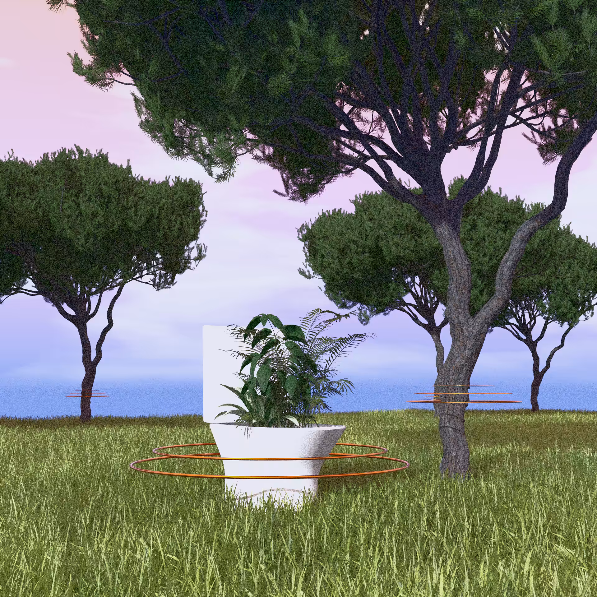 Peace Place