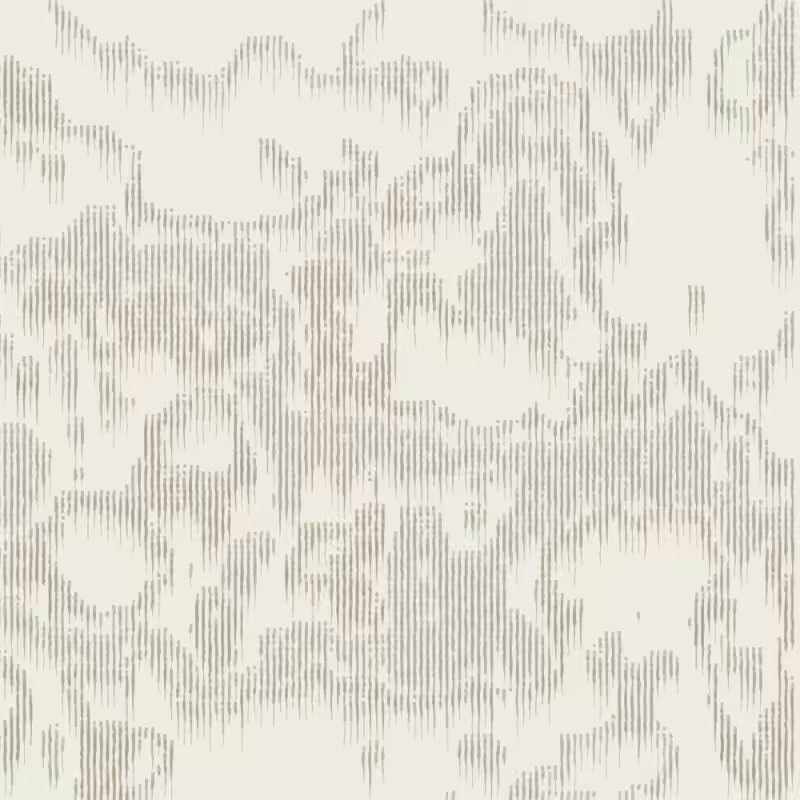 Petri 1500 #961