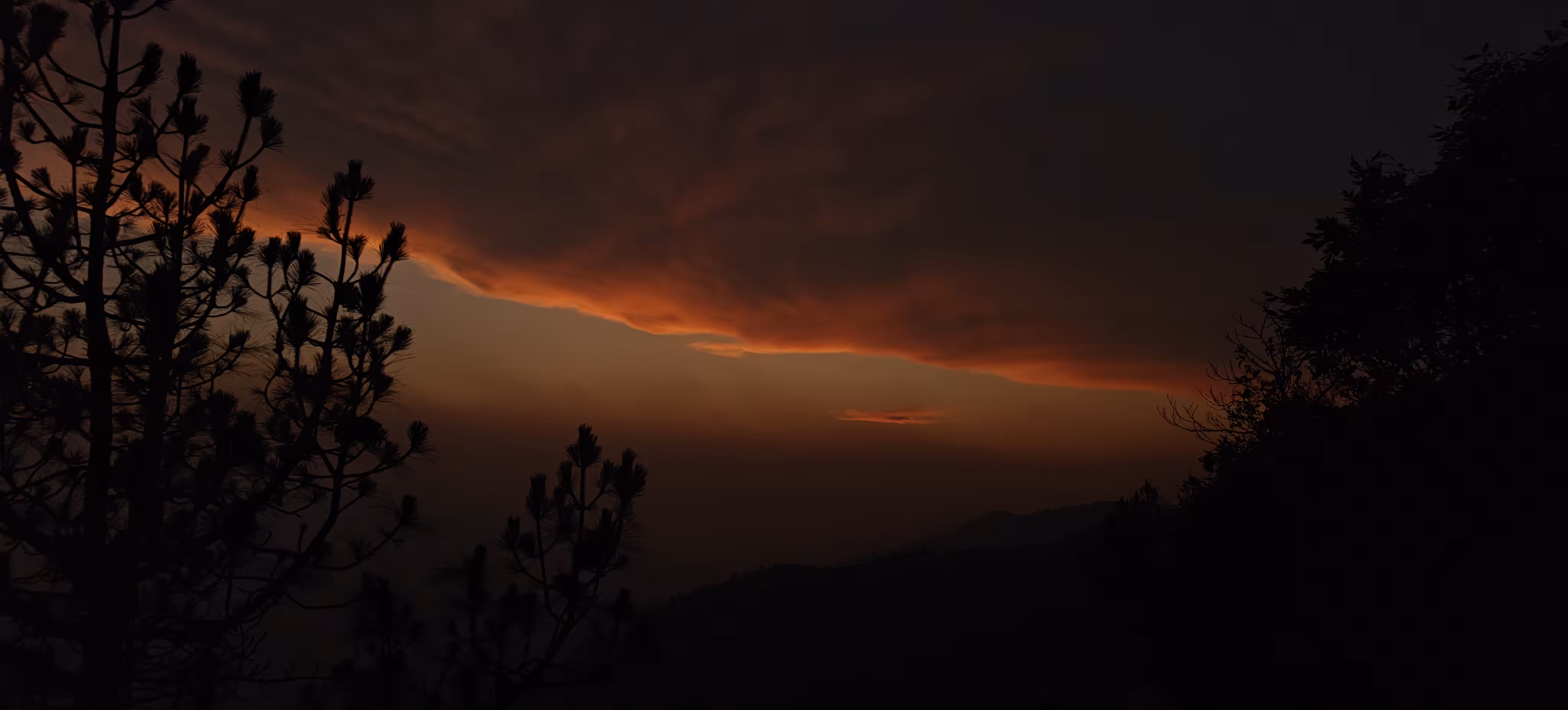 The Sky on Fire