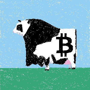 cow #148