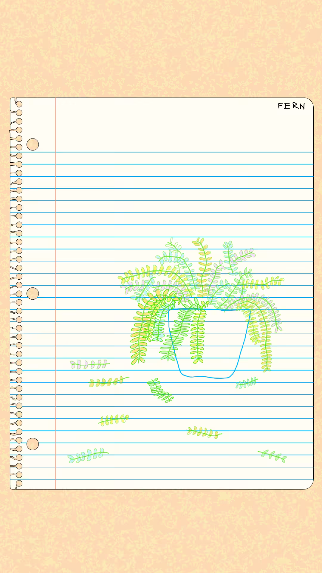 fern